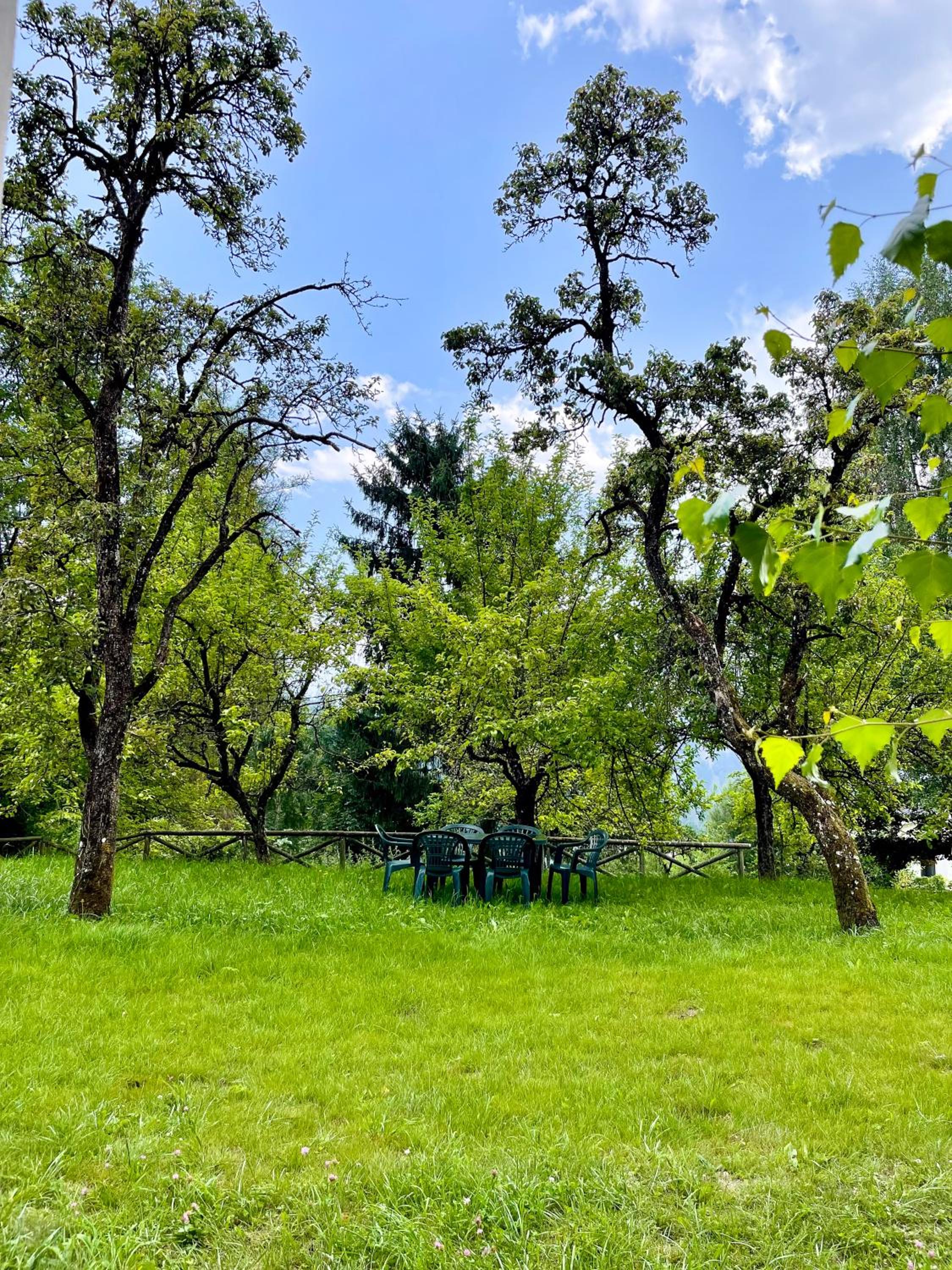 Garden Dream