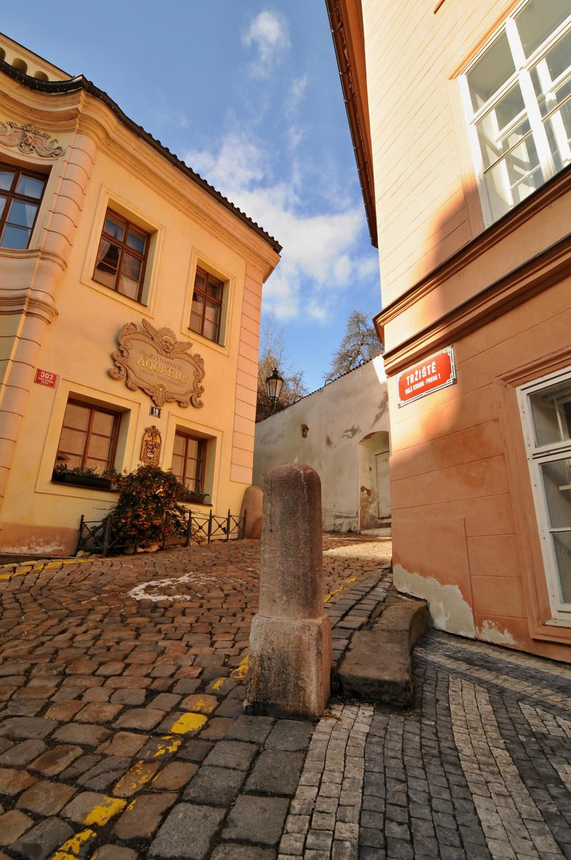 Apartment Trziste
