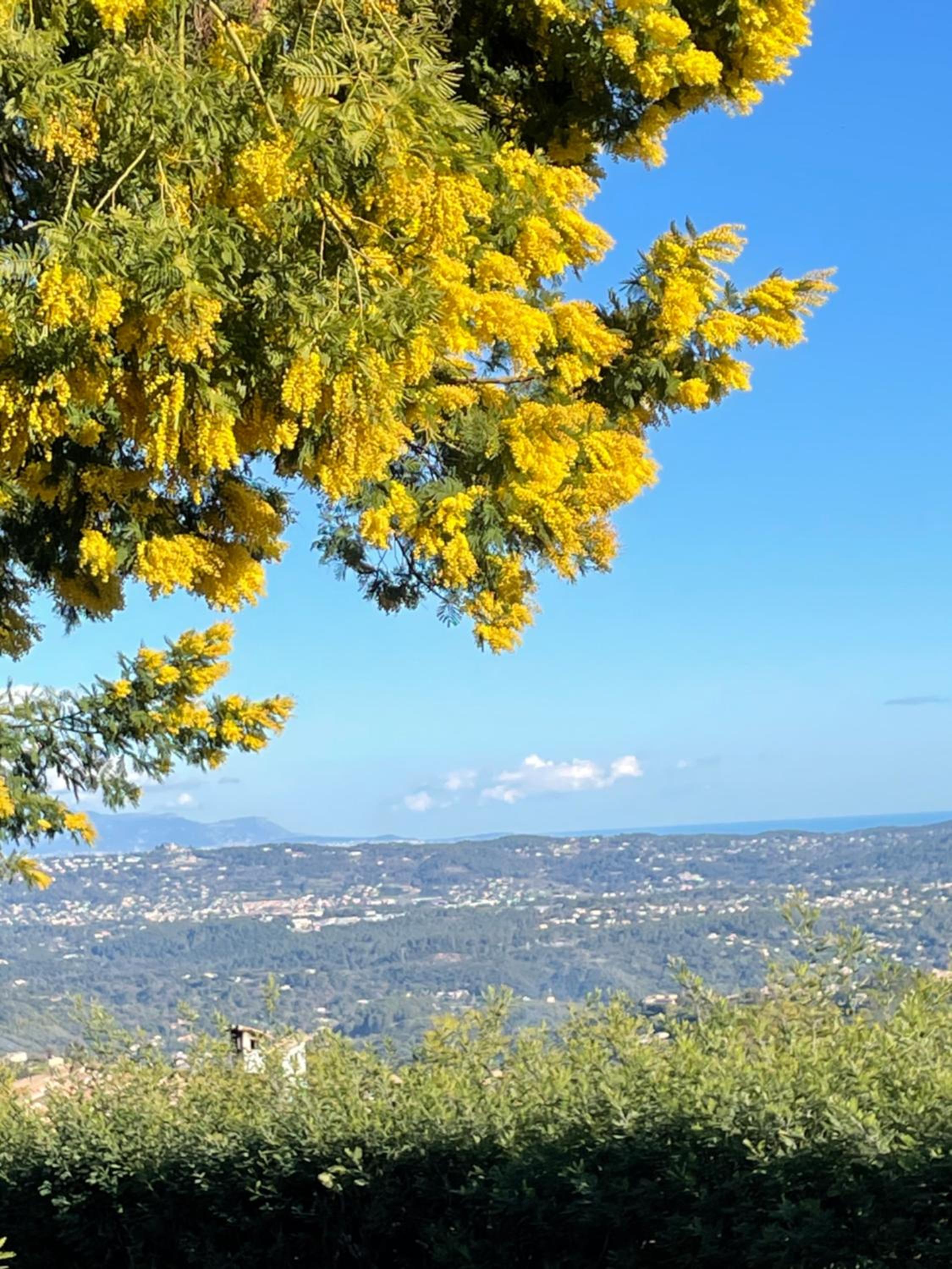 Au Pied des Baous, photo 39