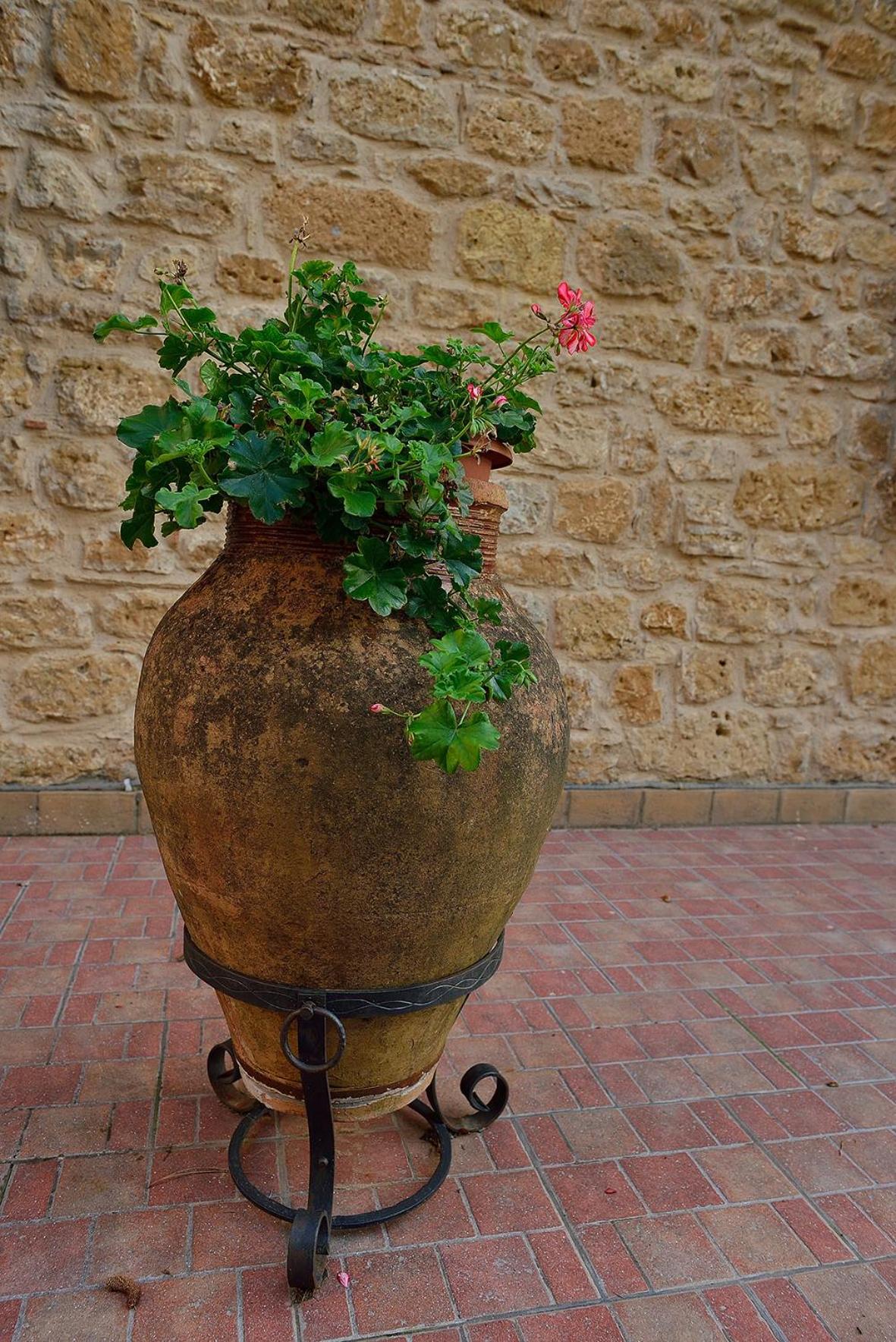 Il triclinio B&B, photo 18