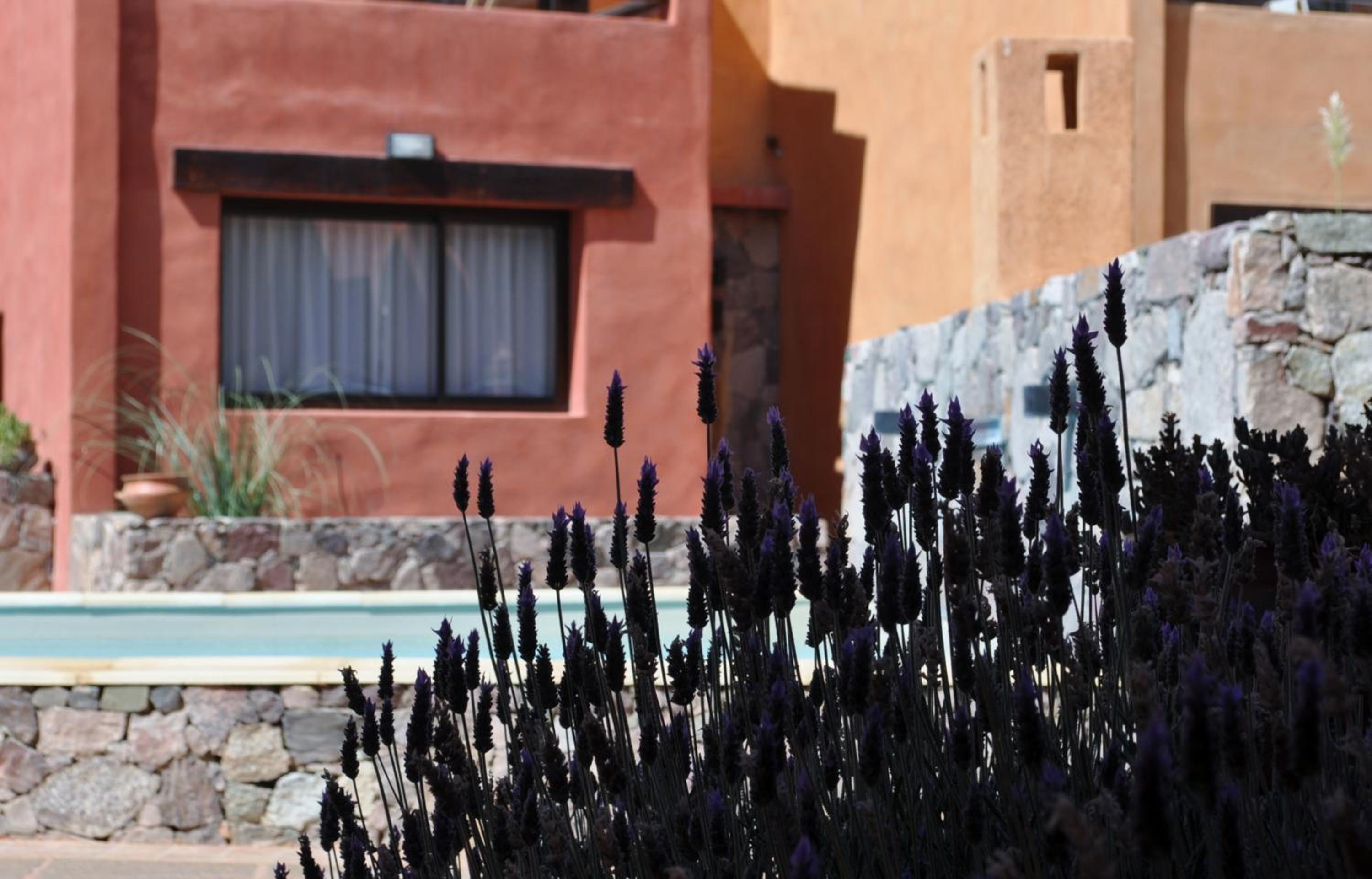 Colores de Purmamarca