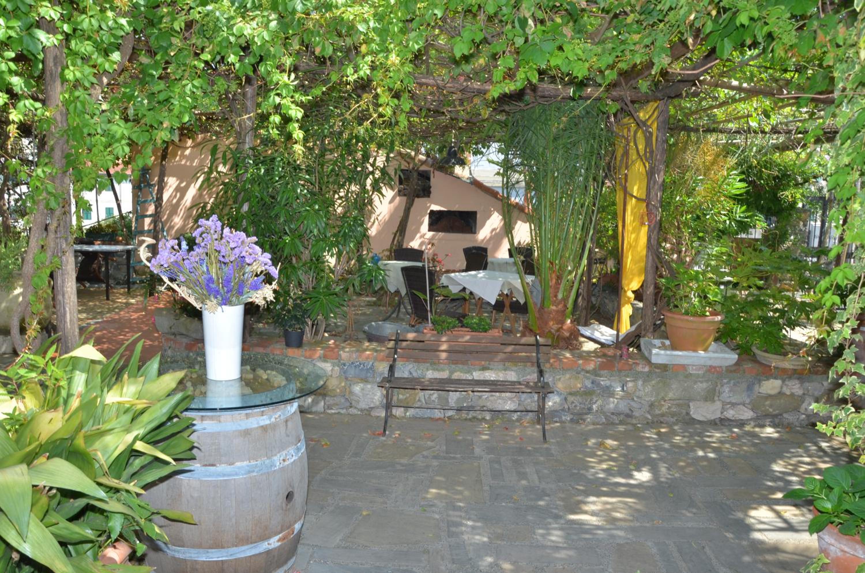 Photo 46