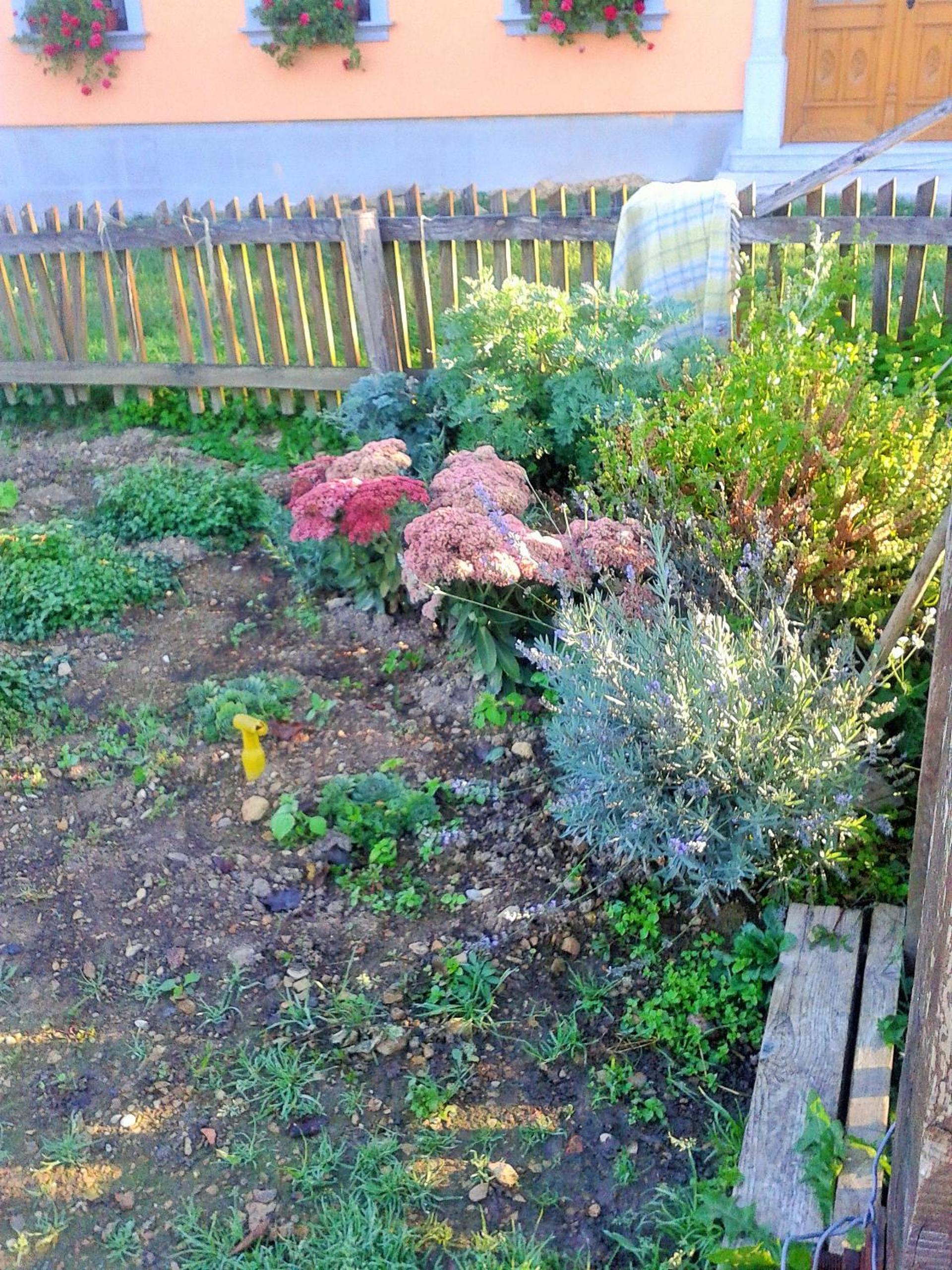 Photo 37