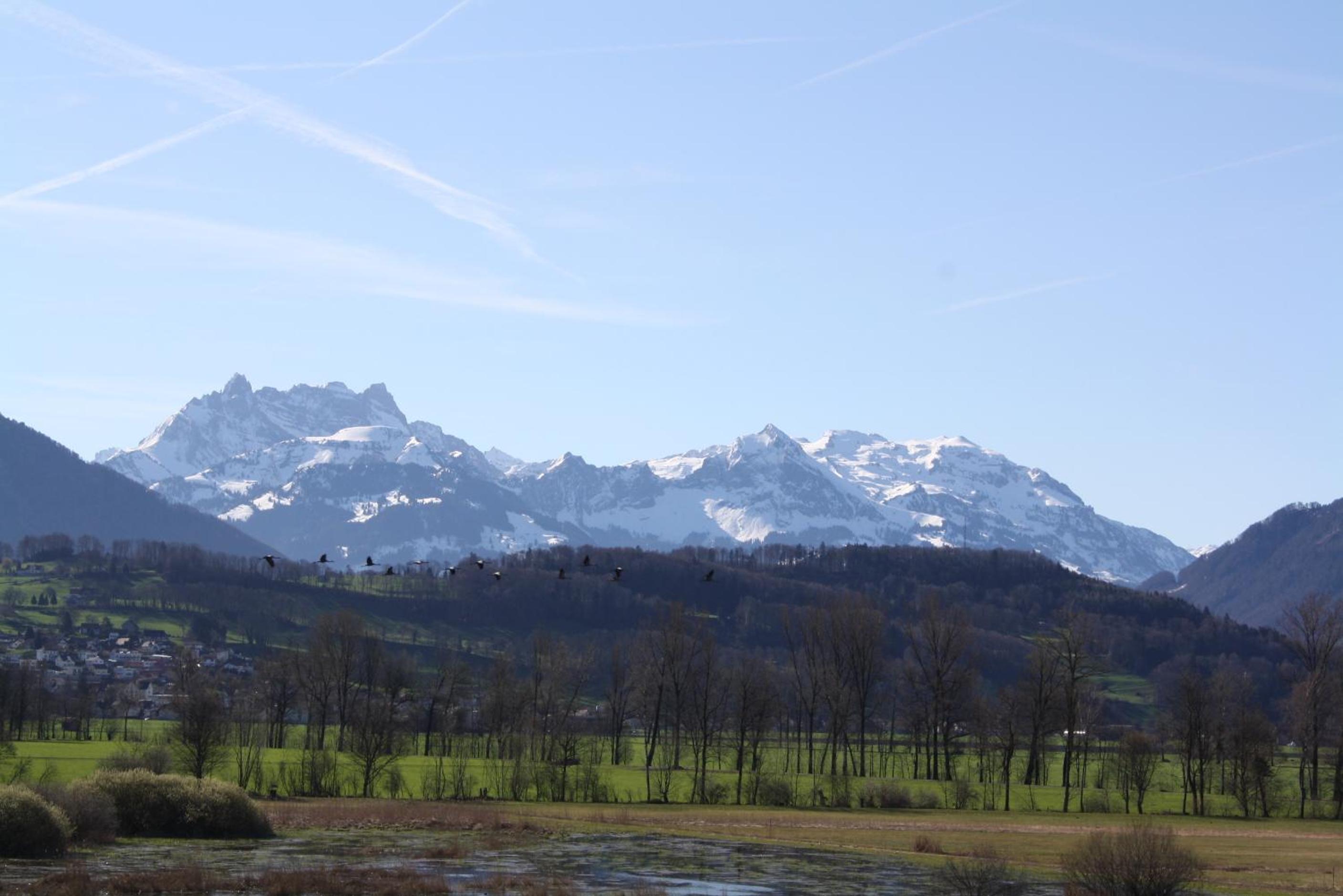 BnB Entensee