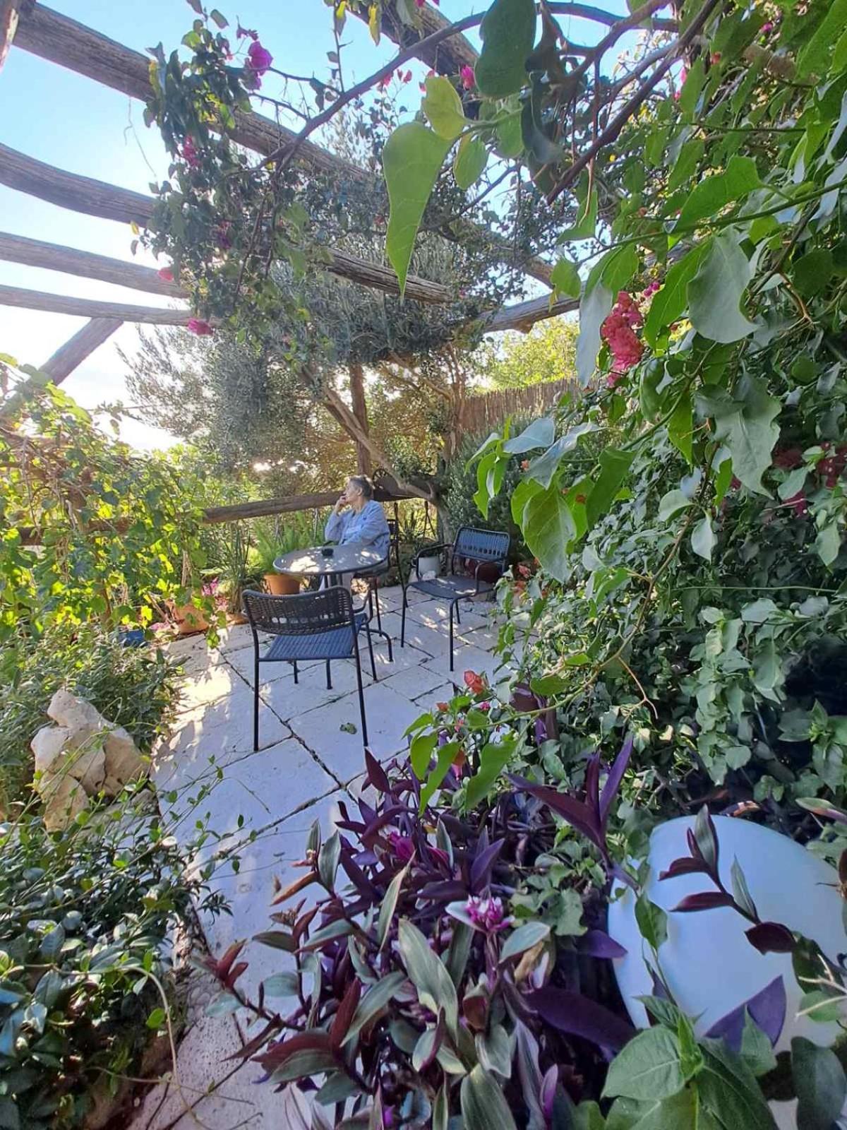 Photo 8
