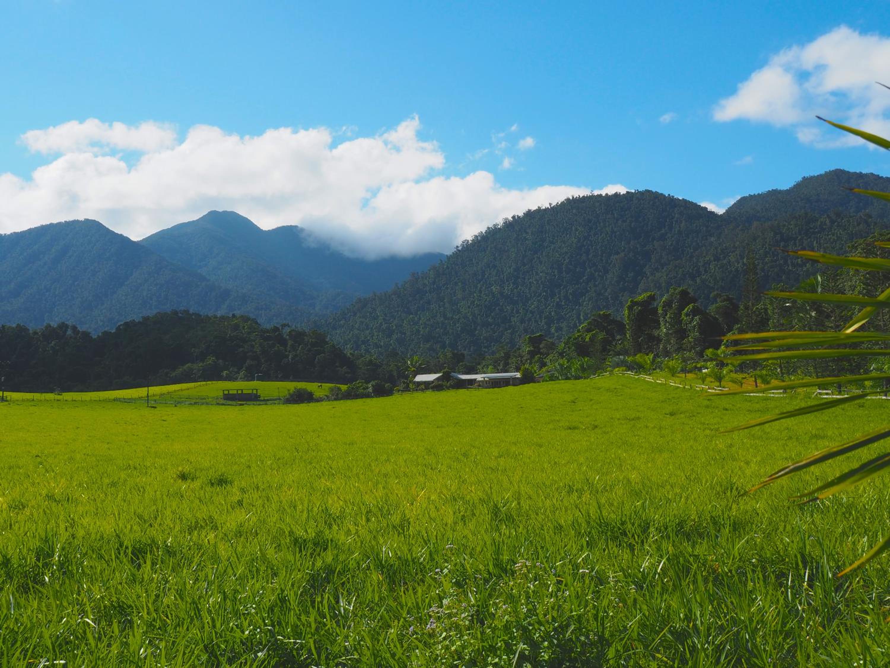 Babinda Quarters