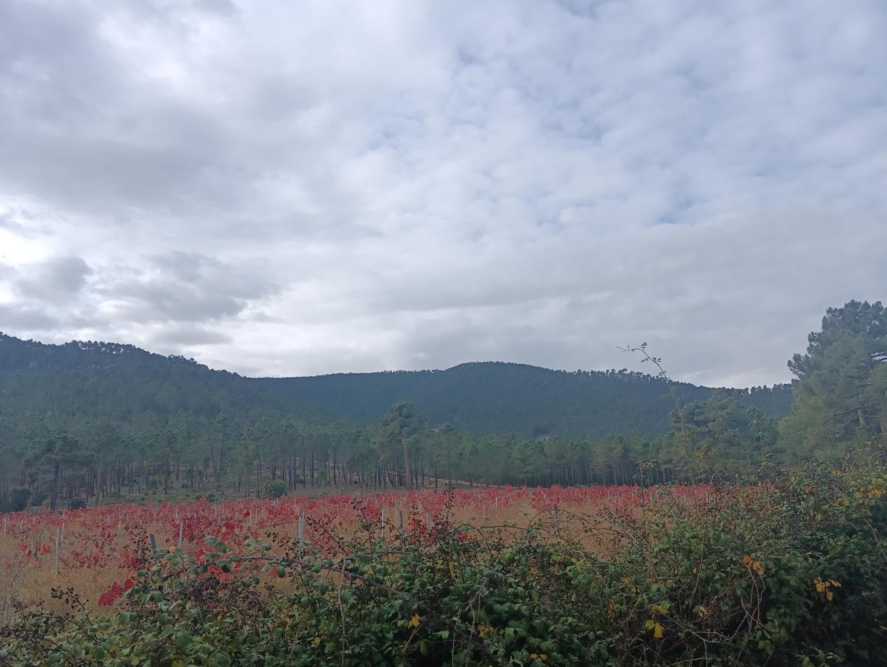 Alojamientos Rurales El Rincón del Pico