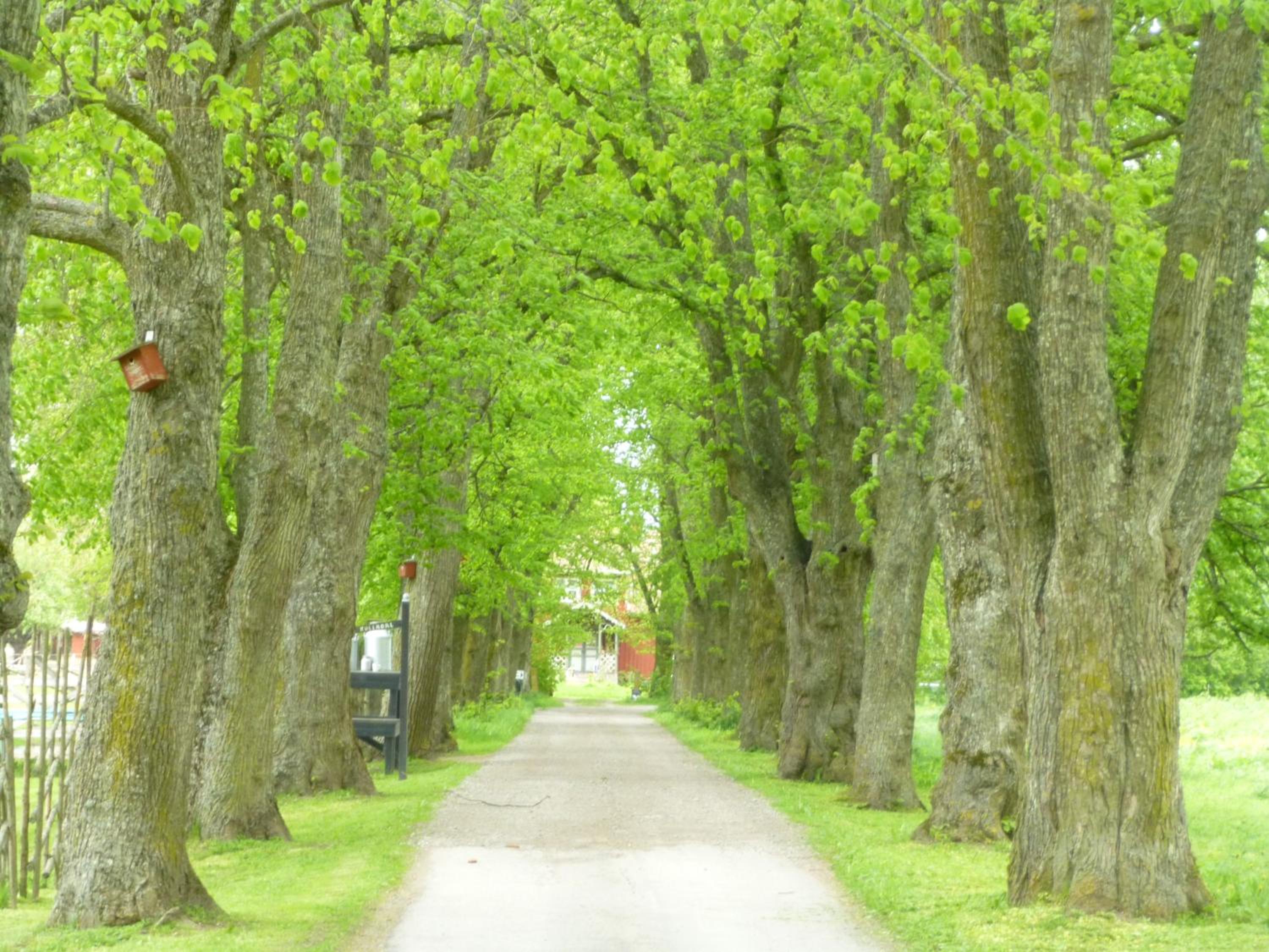 Kullagården