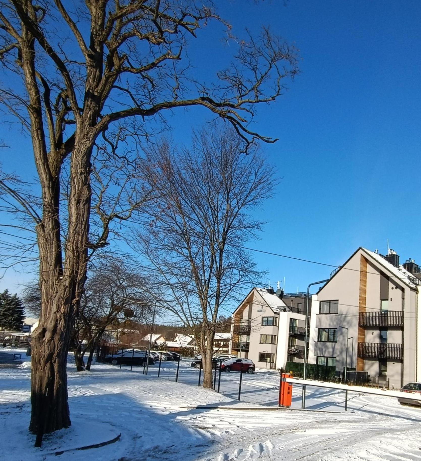 Batic Line - SUNNY PLACE - FUNNY PLACE, apartament ze słonecznym ogródkiem na Wyspie Sobieszewskiej