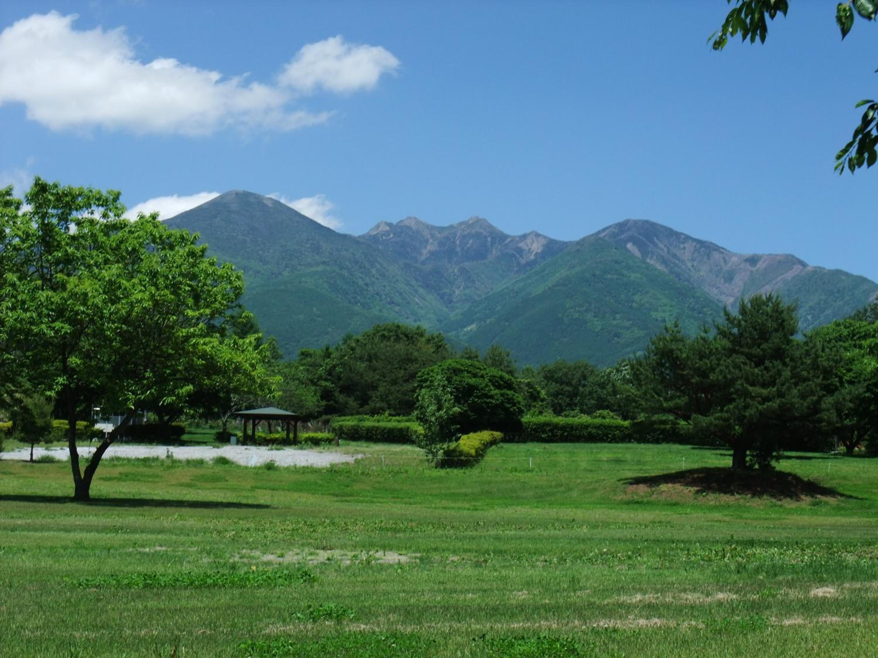 Photo 25