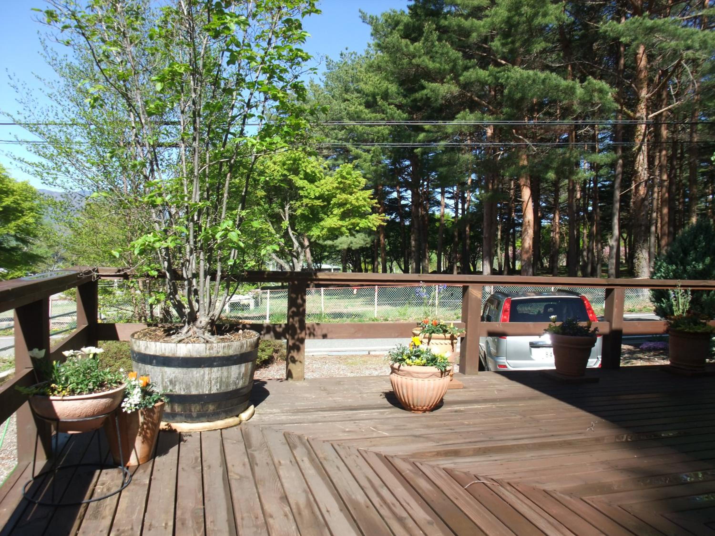 Photo 27