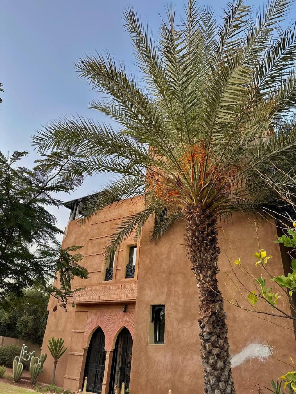 Private Riad Alemania in Marrakesh - Pool - Rooftop