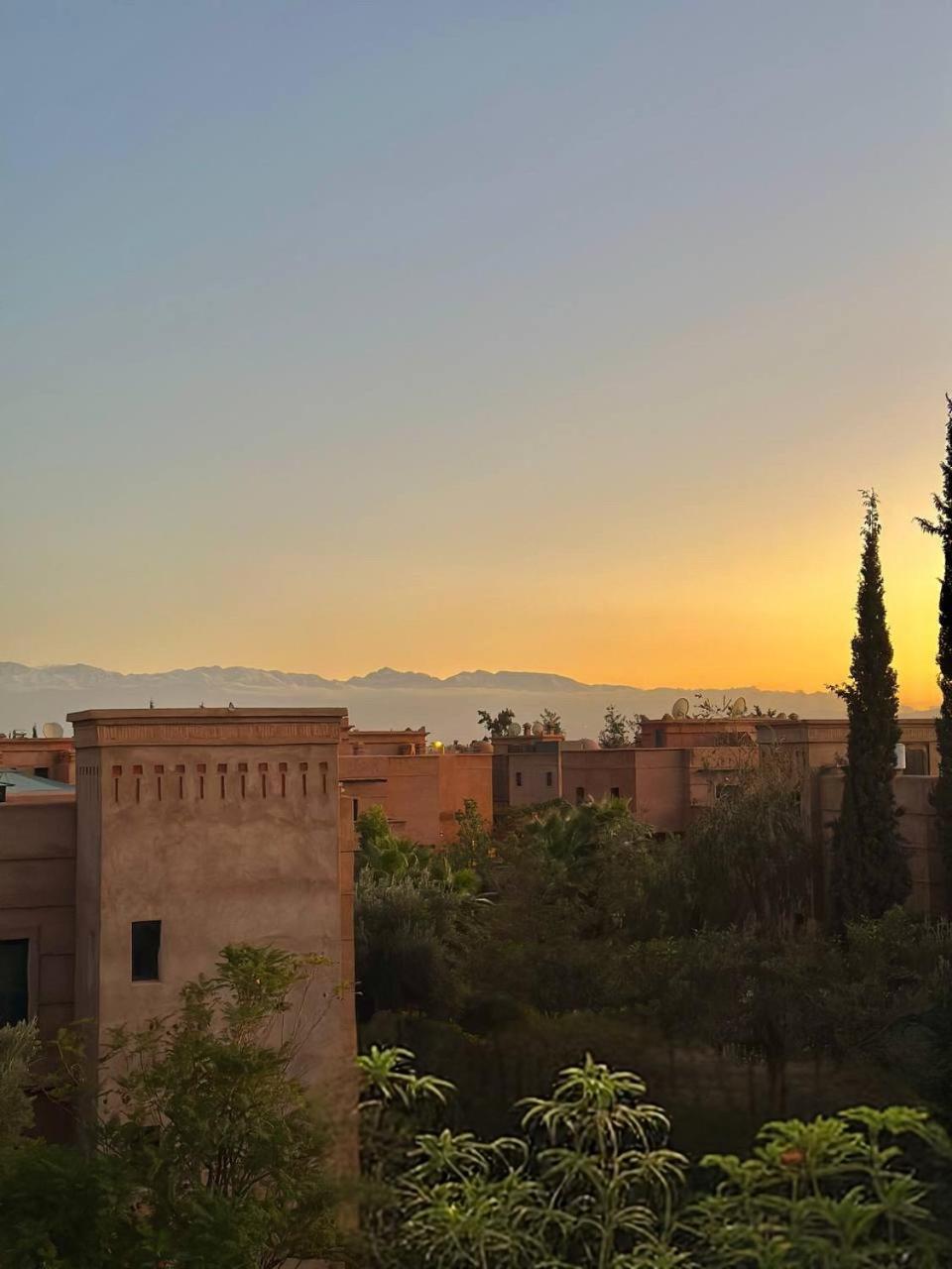 Private Riad Alemania in Marrakesh - Pool - Rooftop