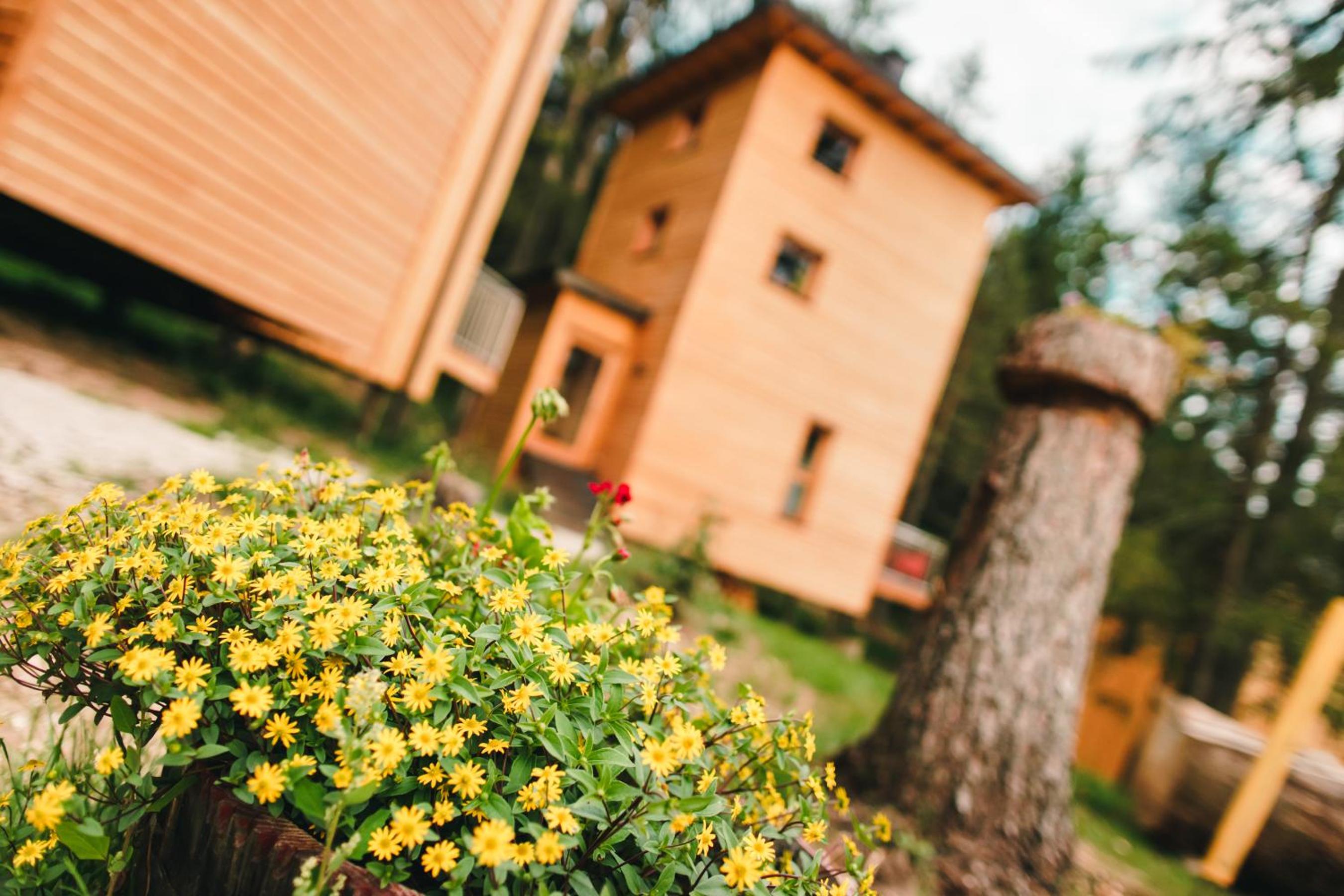 Forest Chalet Resort FELIZITAS