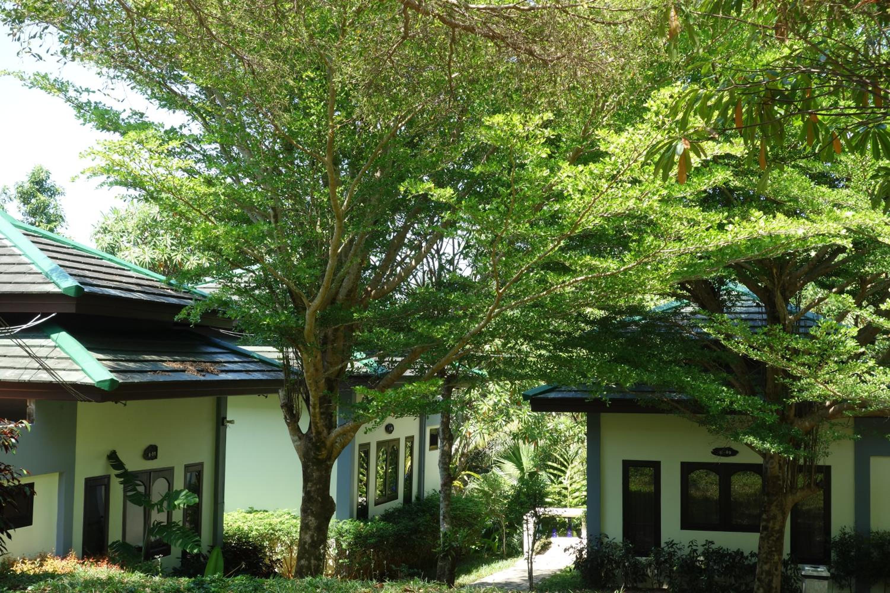 Khaolak Hillside Villa