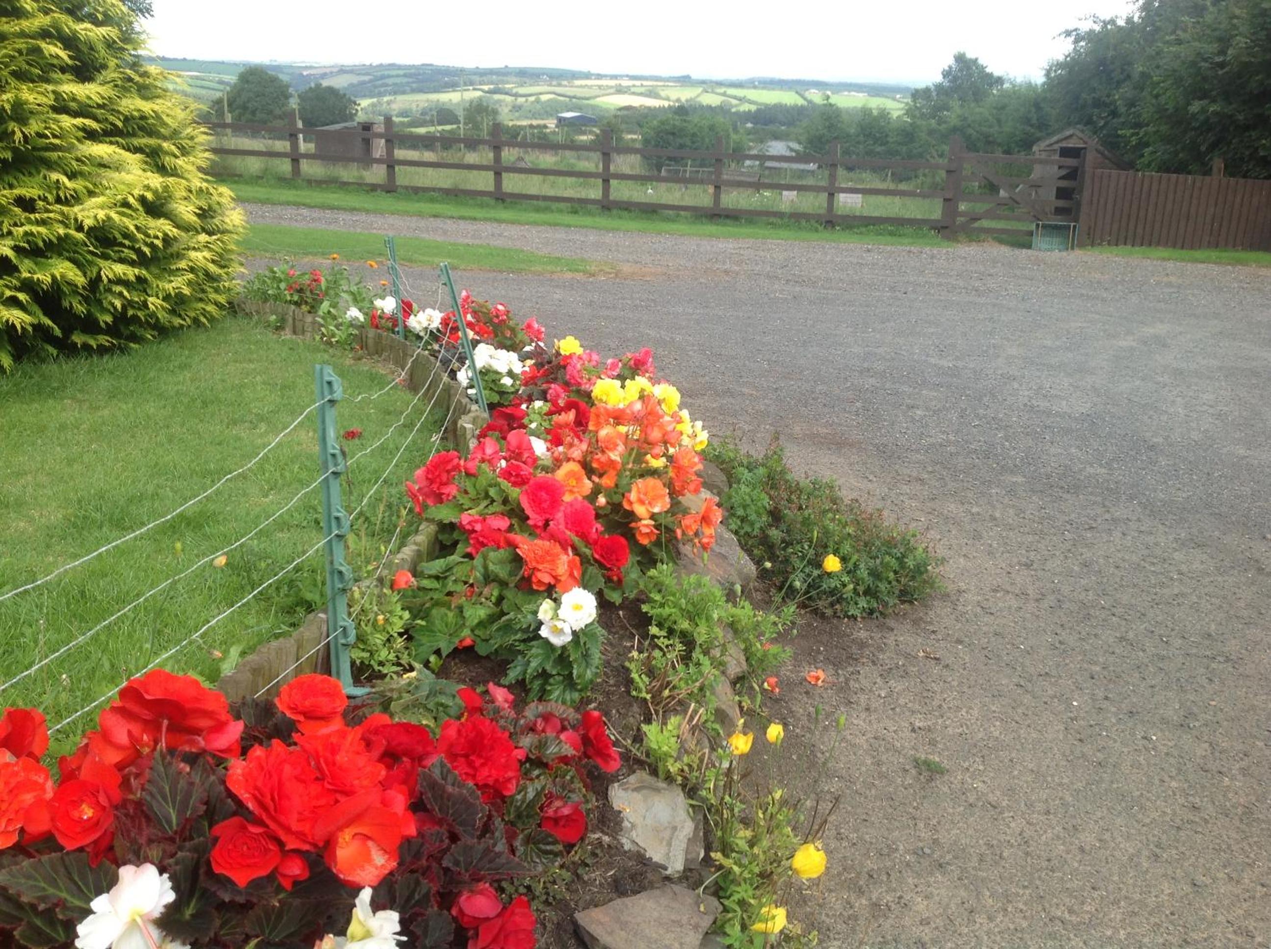 Bradridge Farm