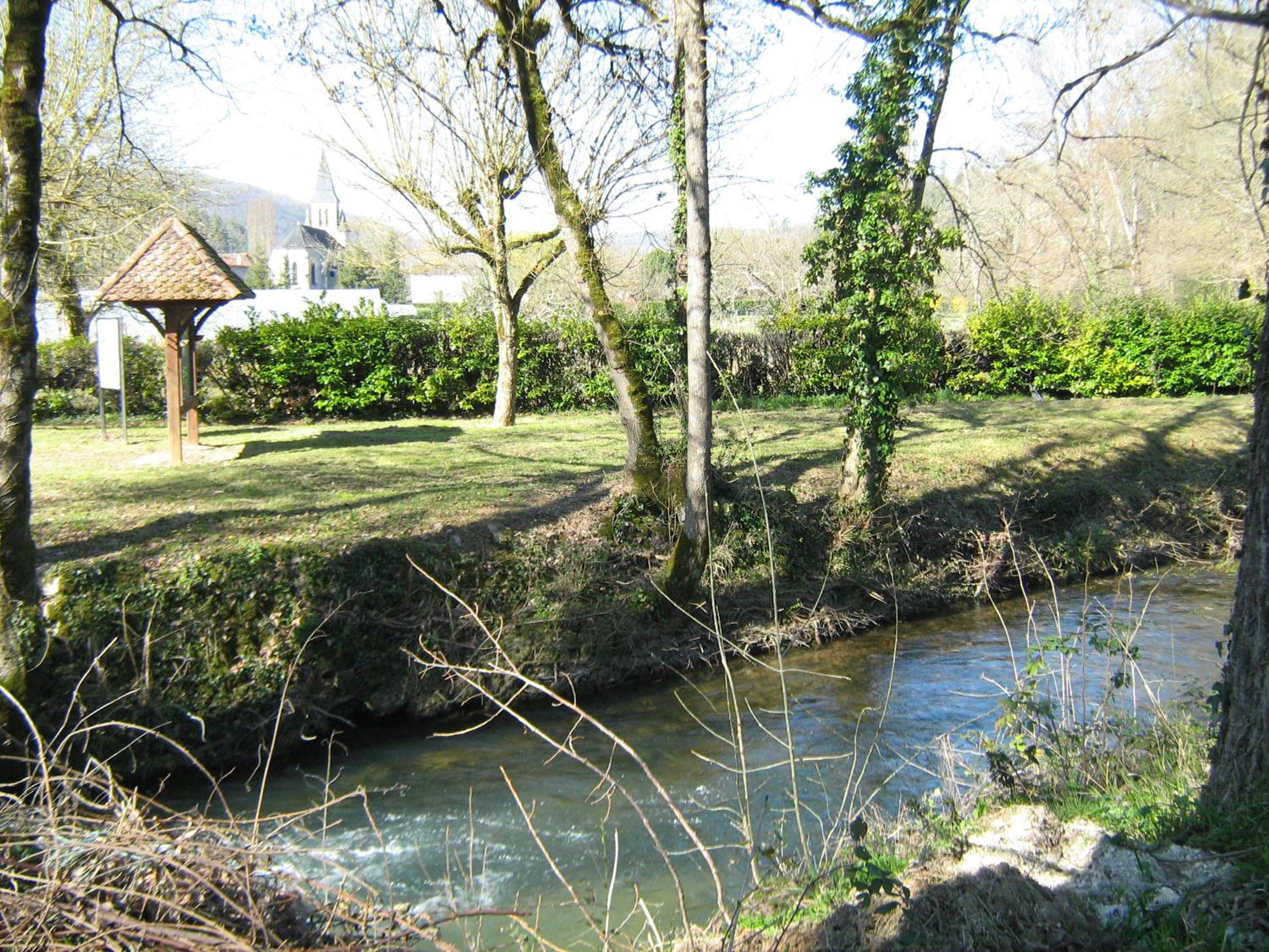 Photo 23