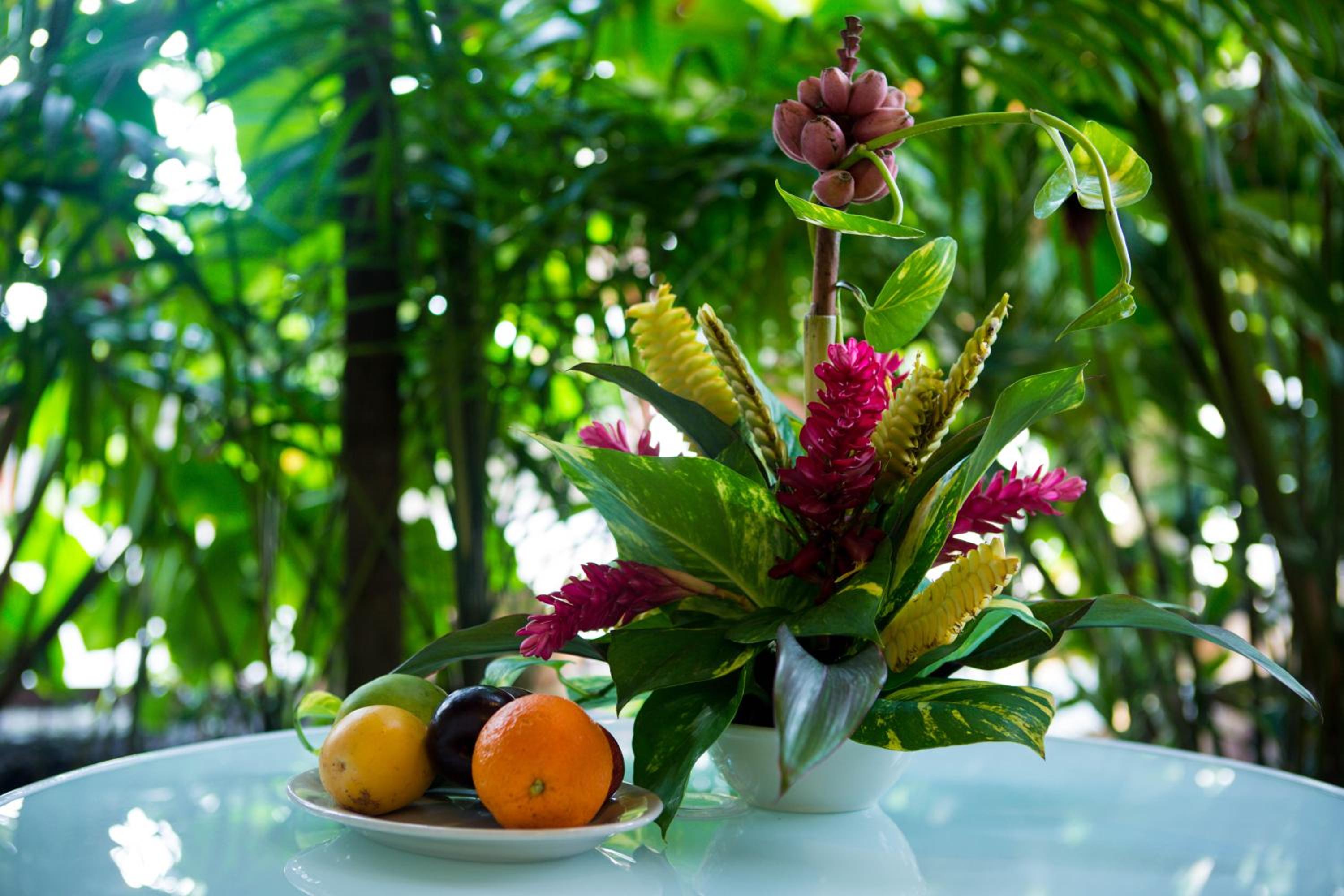 Jacana Amazon Wellness Resort