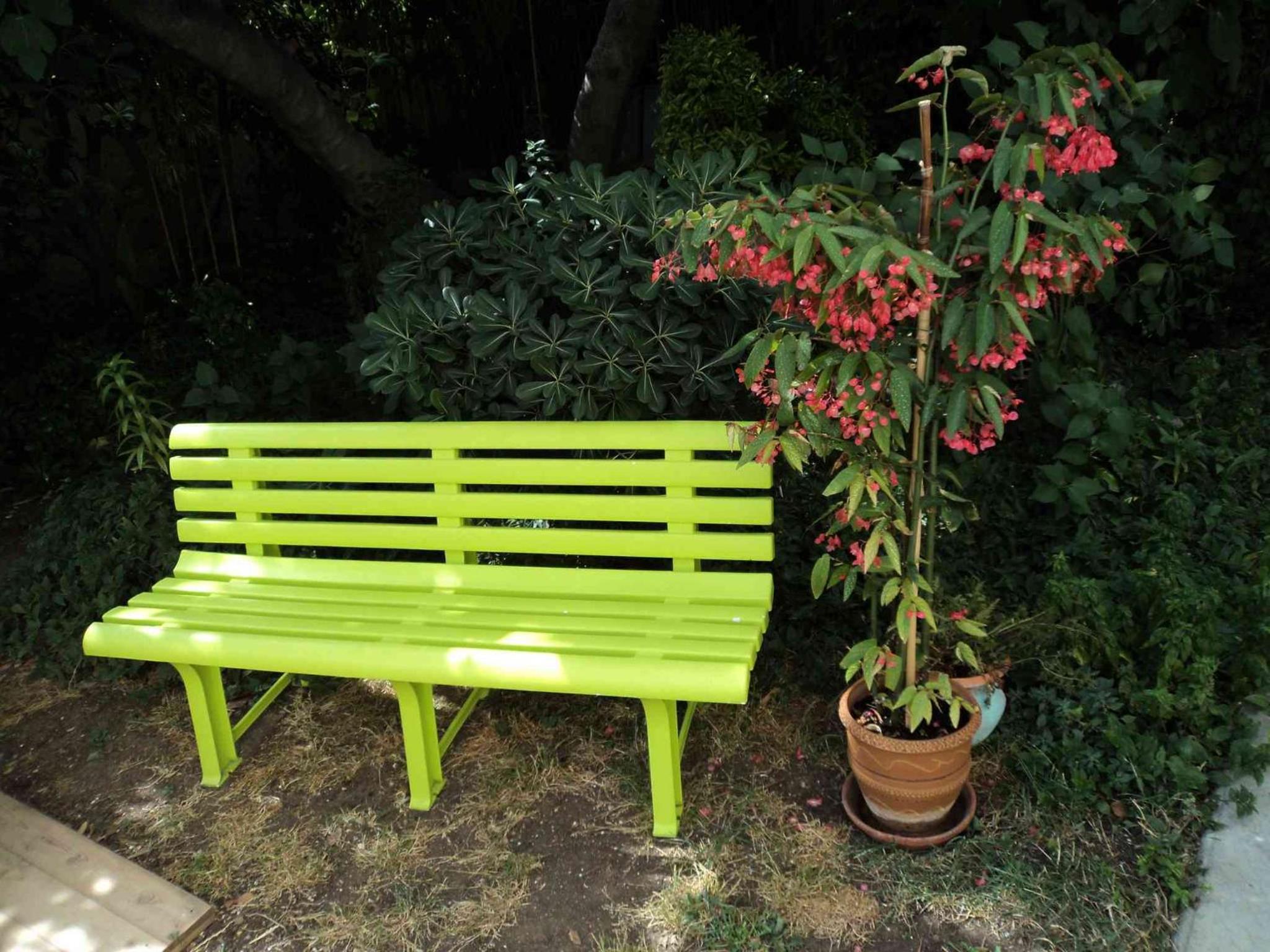Photo 20