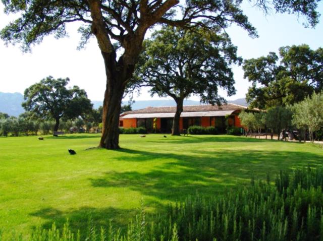 Agriturismo Li Scopi