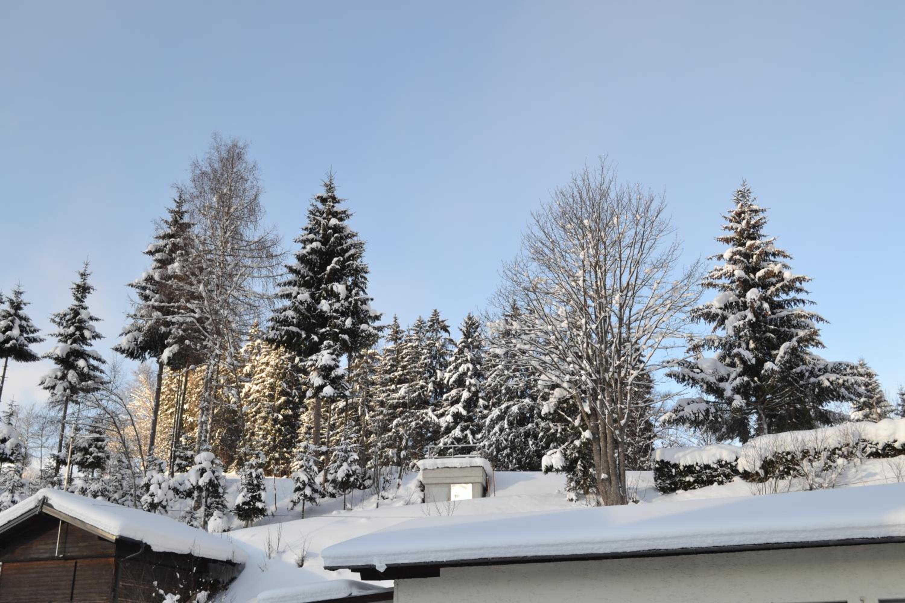 Pension Haus Rohrmoser