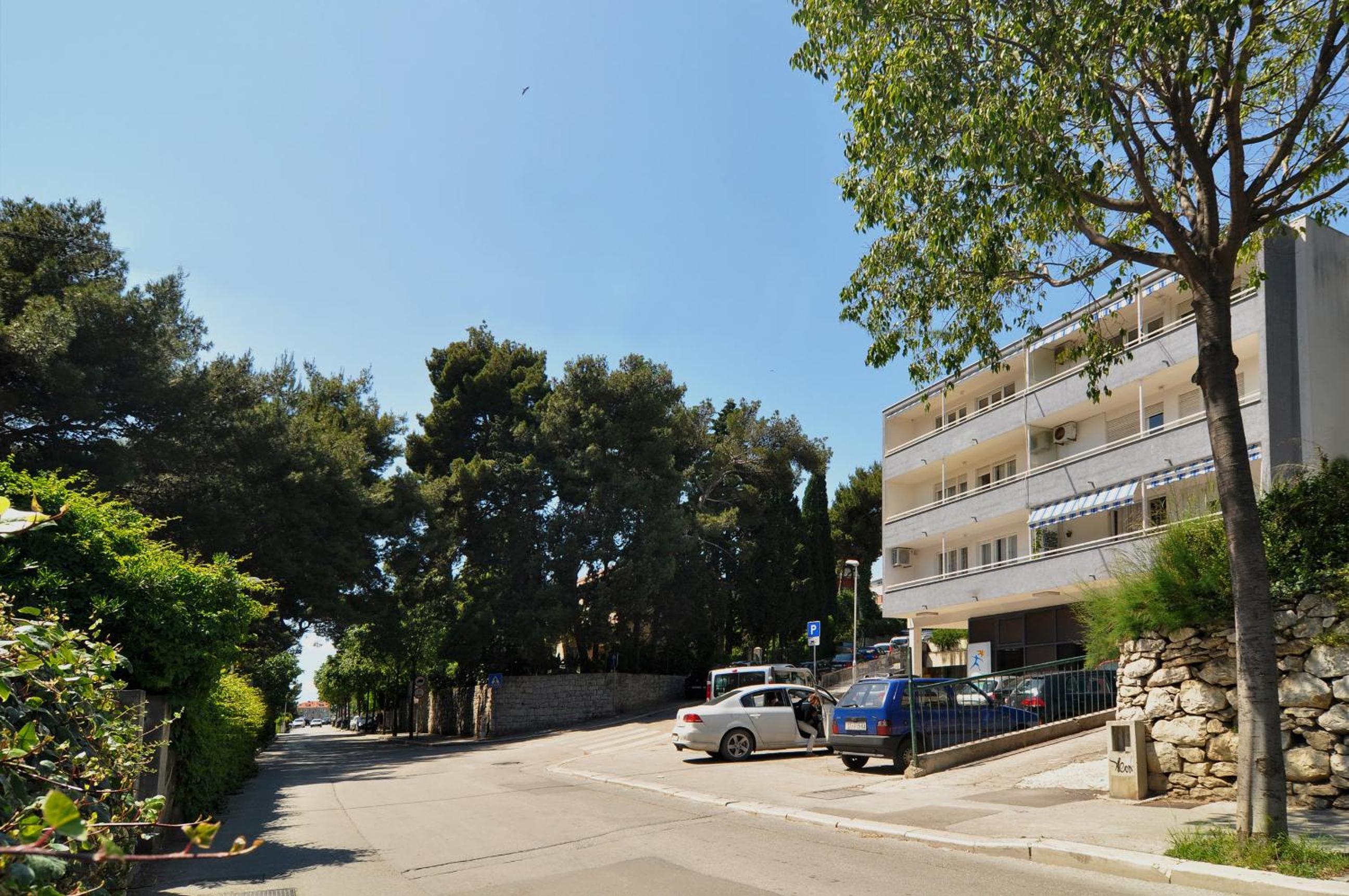 Photo 11