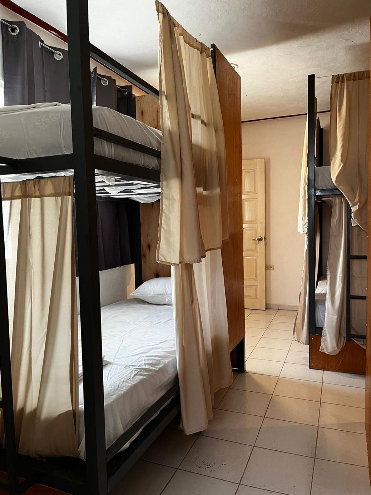 Hostel Treebu