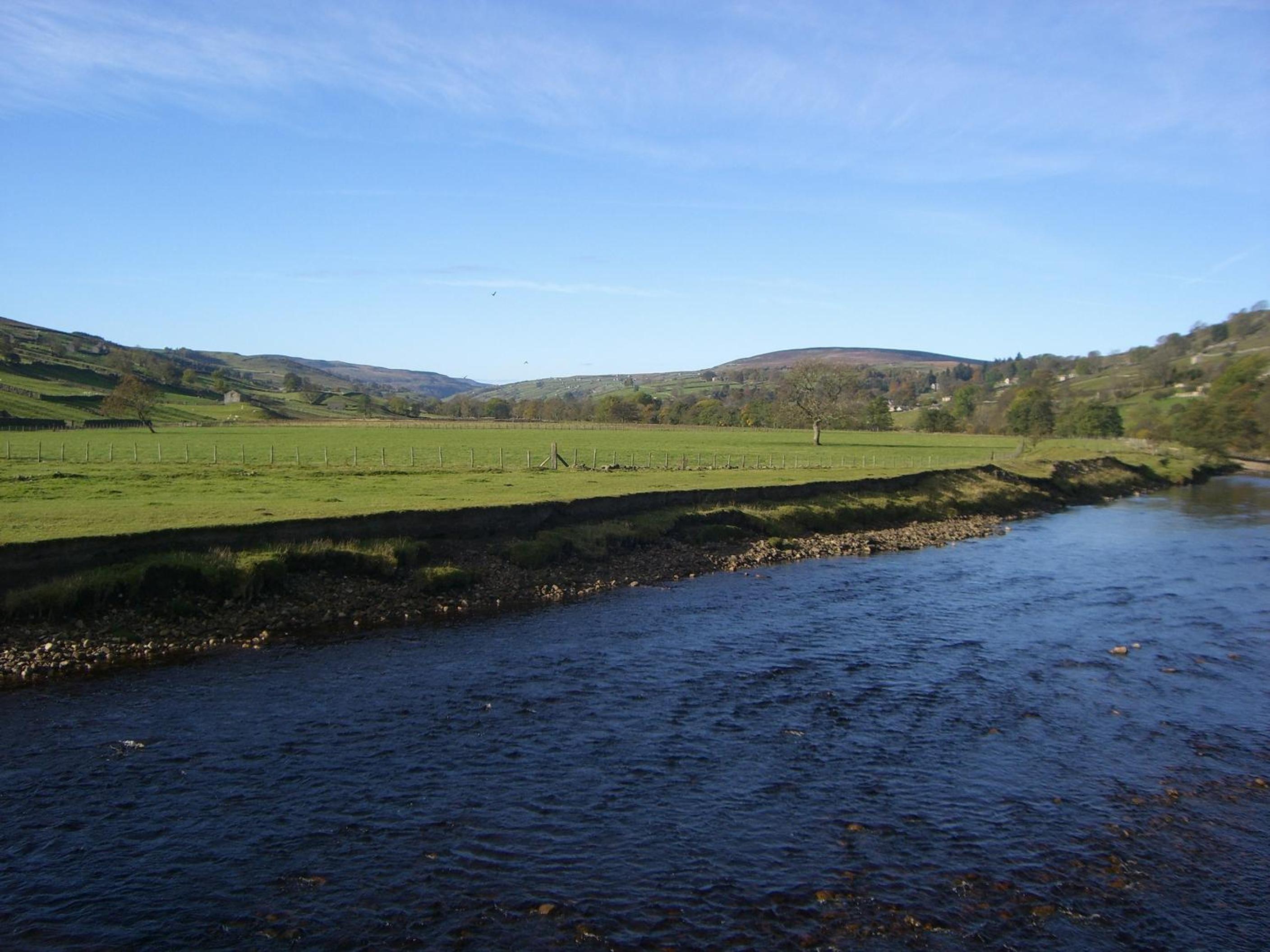 Photo 45