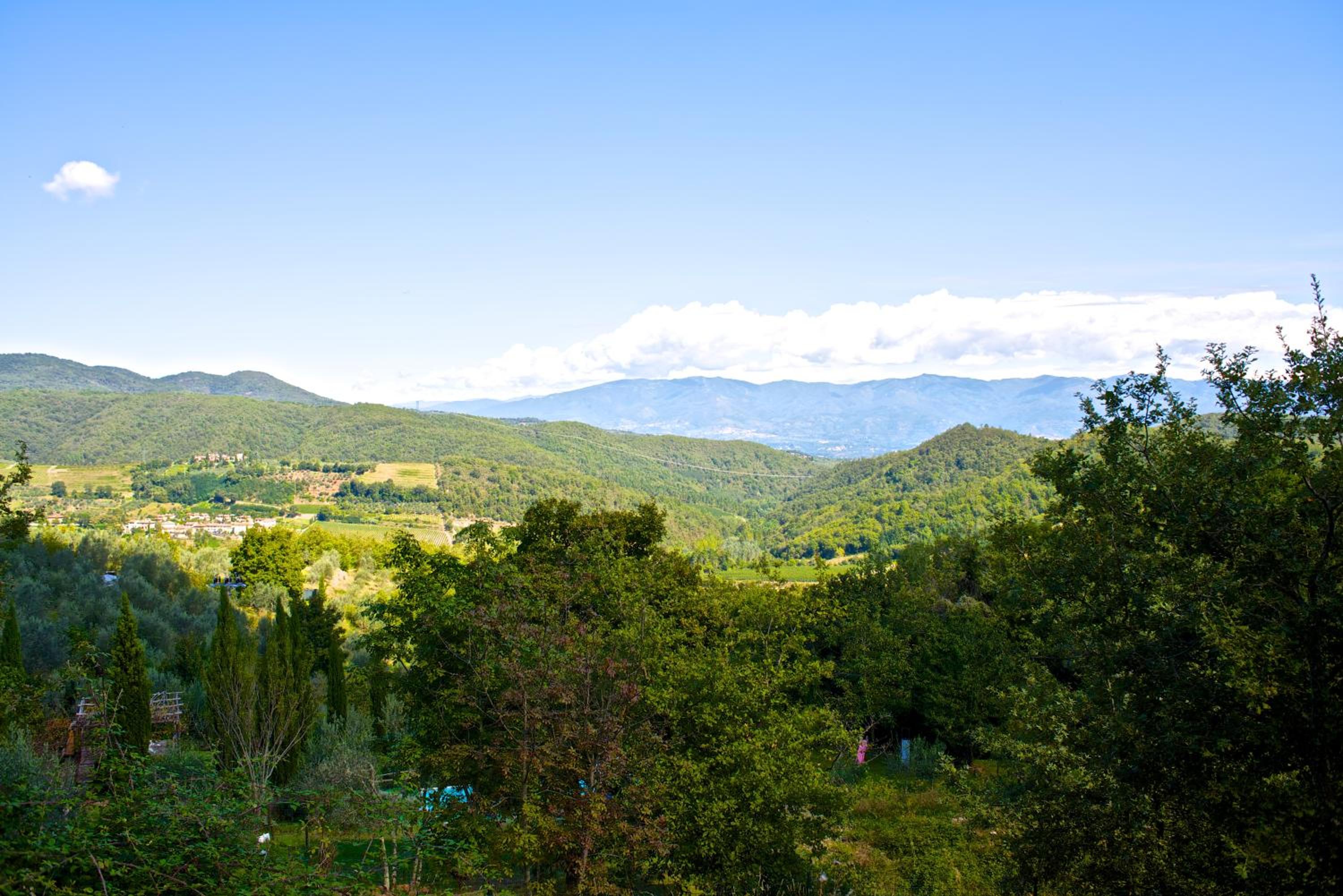 Lionforti Da Vico