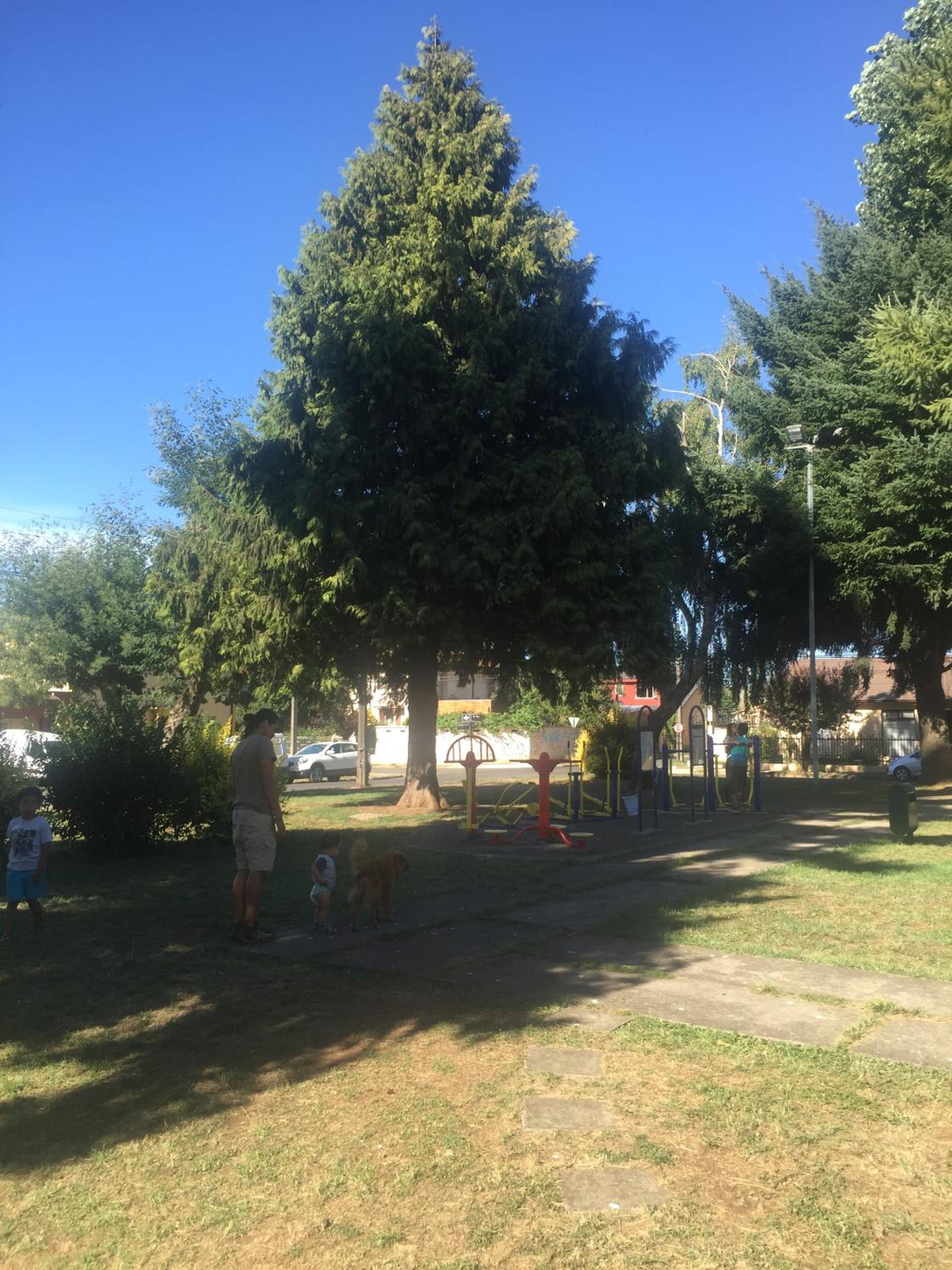Photo 25