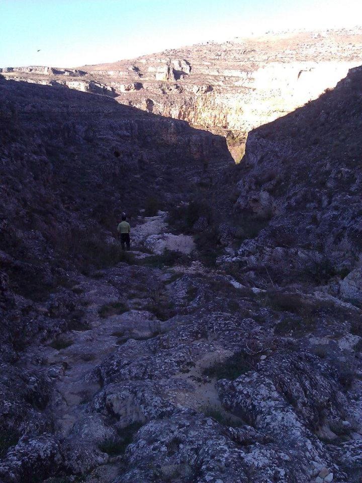 Photo 25