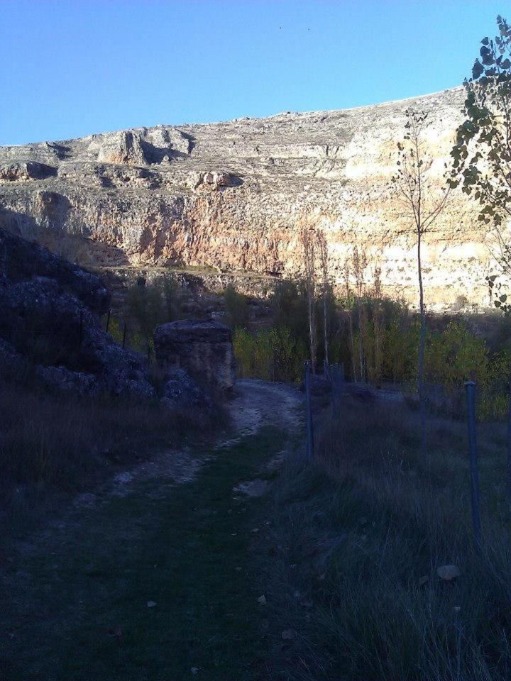 Photo 31