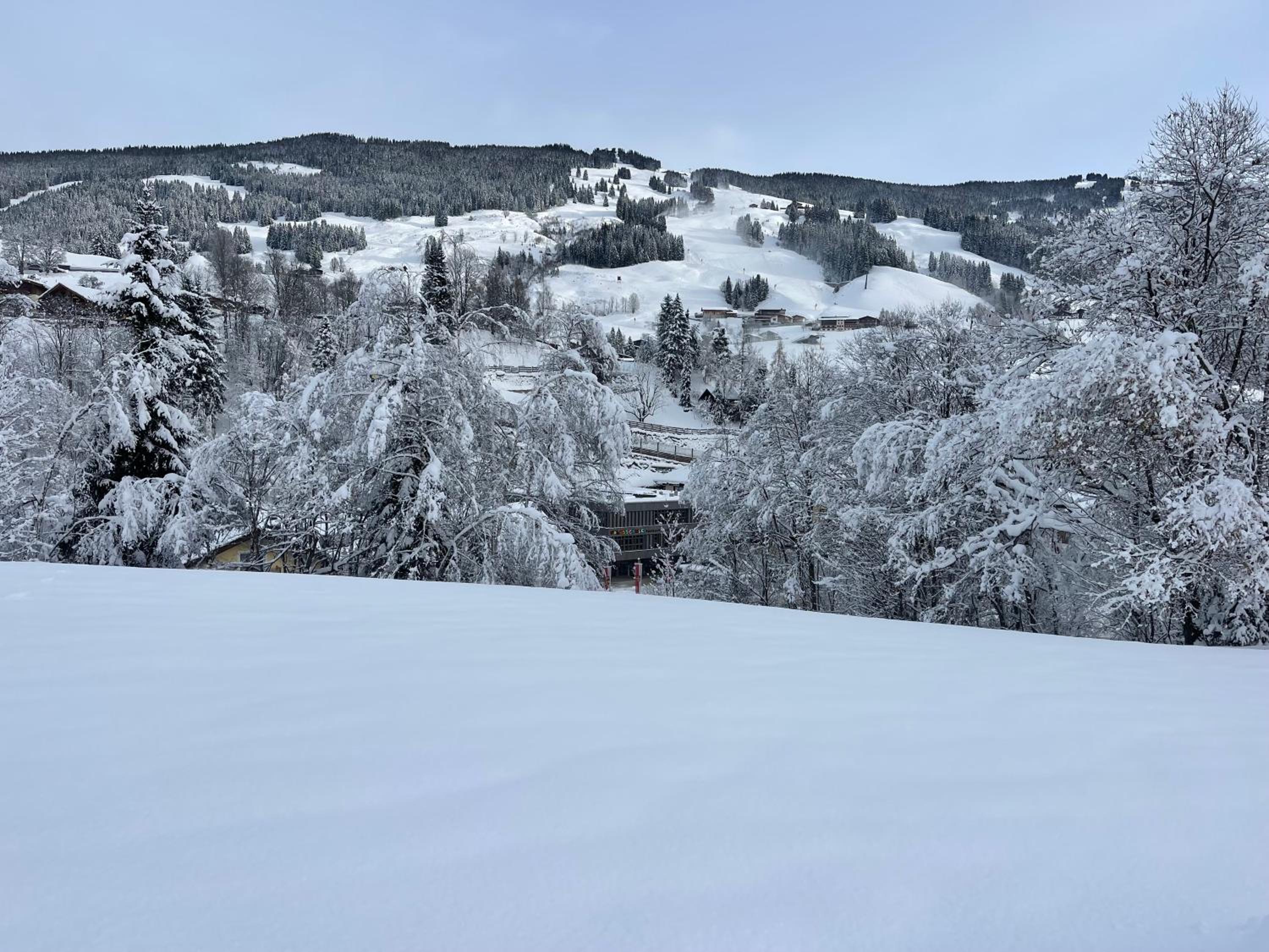Appartement Chalet Saalbach