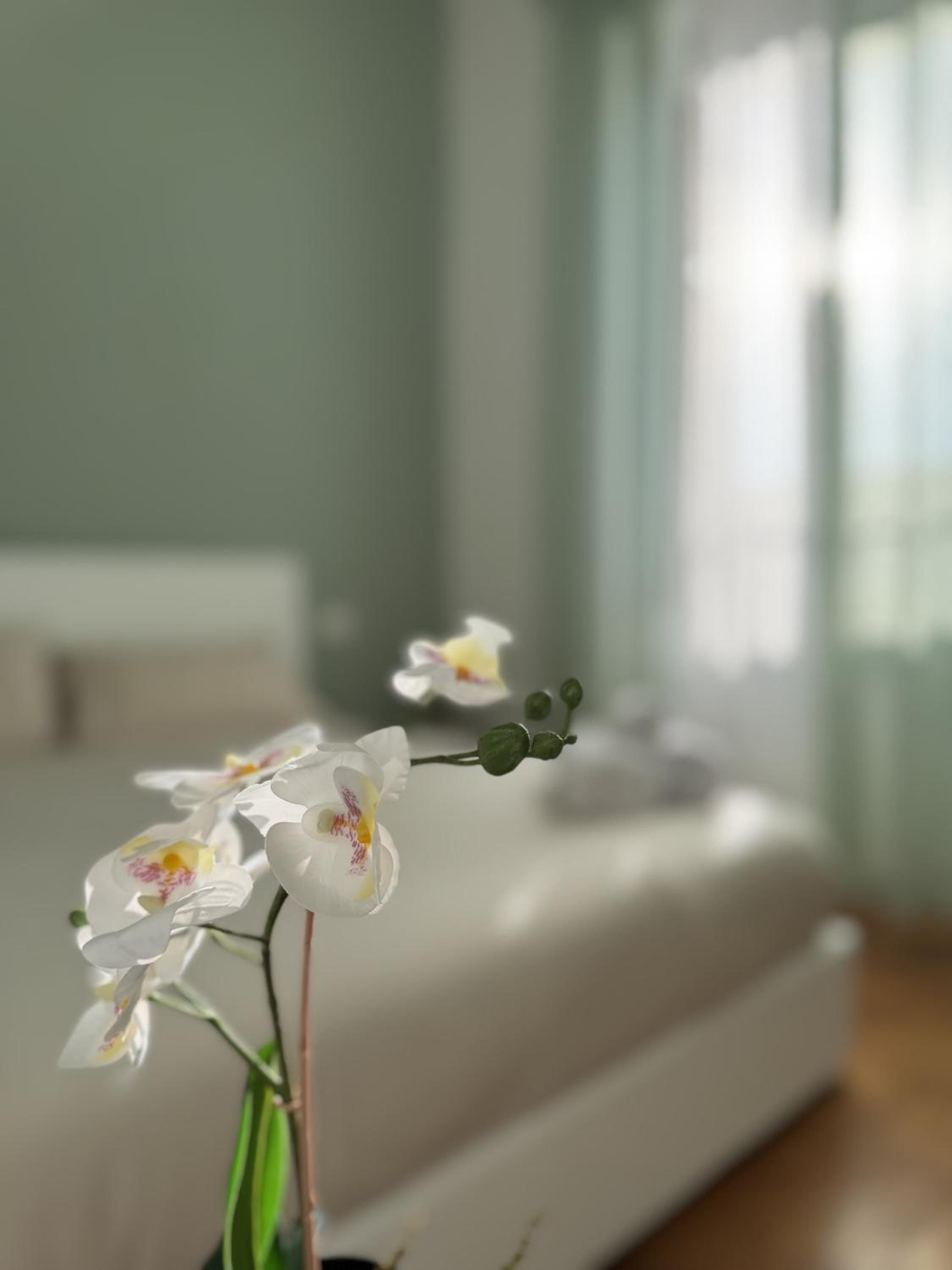 Cesare Guest House