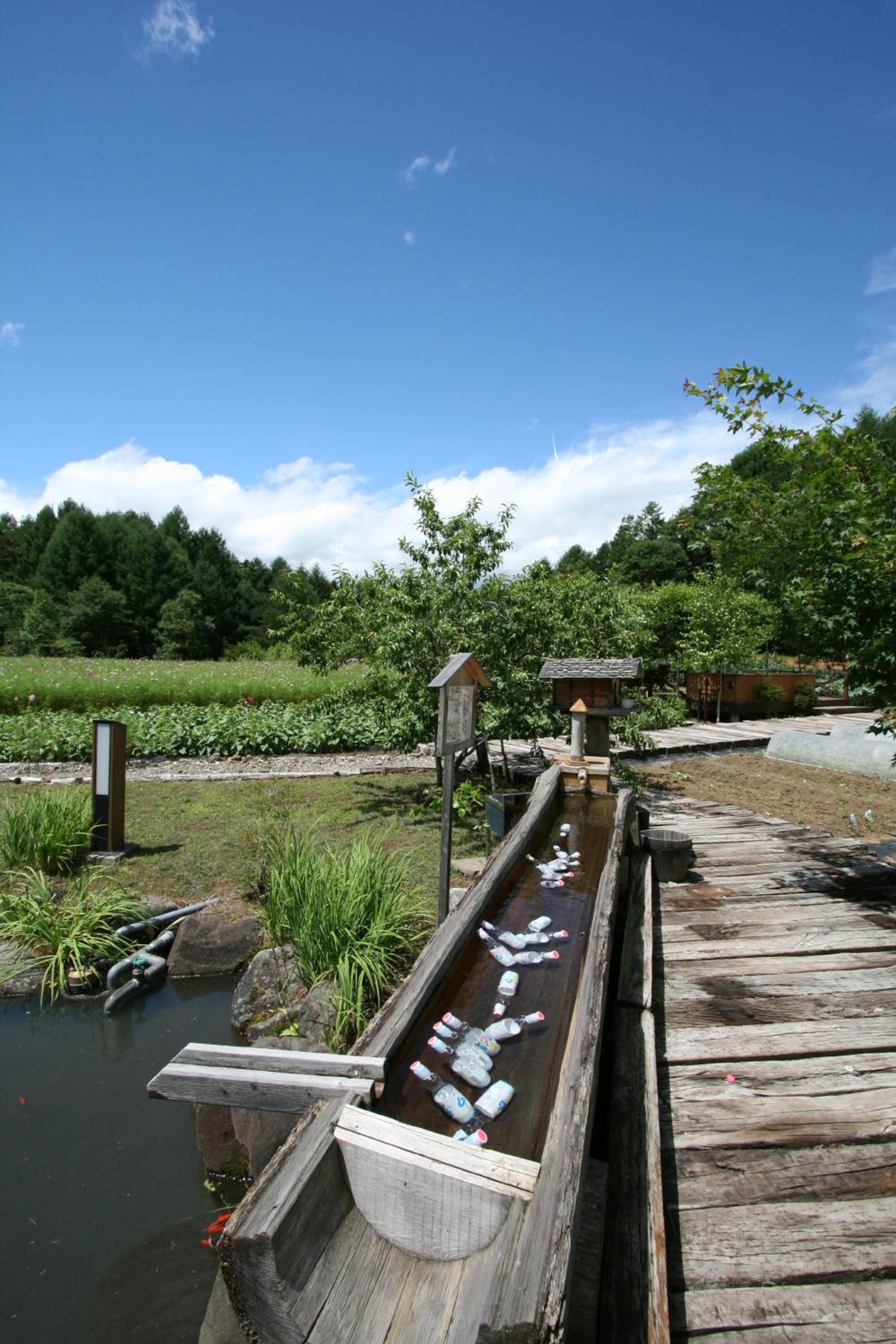 Tsutaya Tokinoyado Kazari