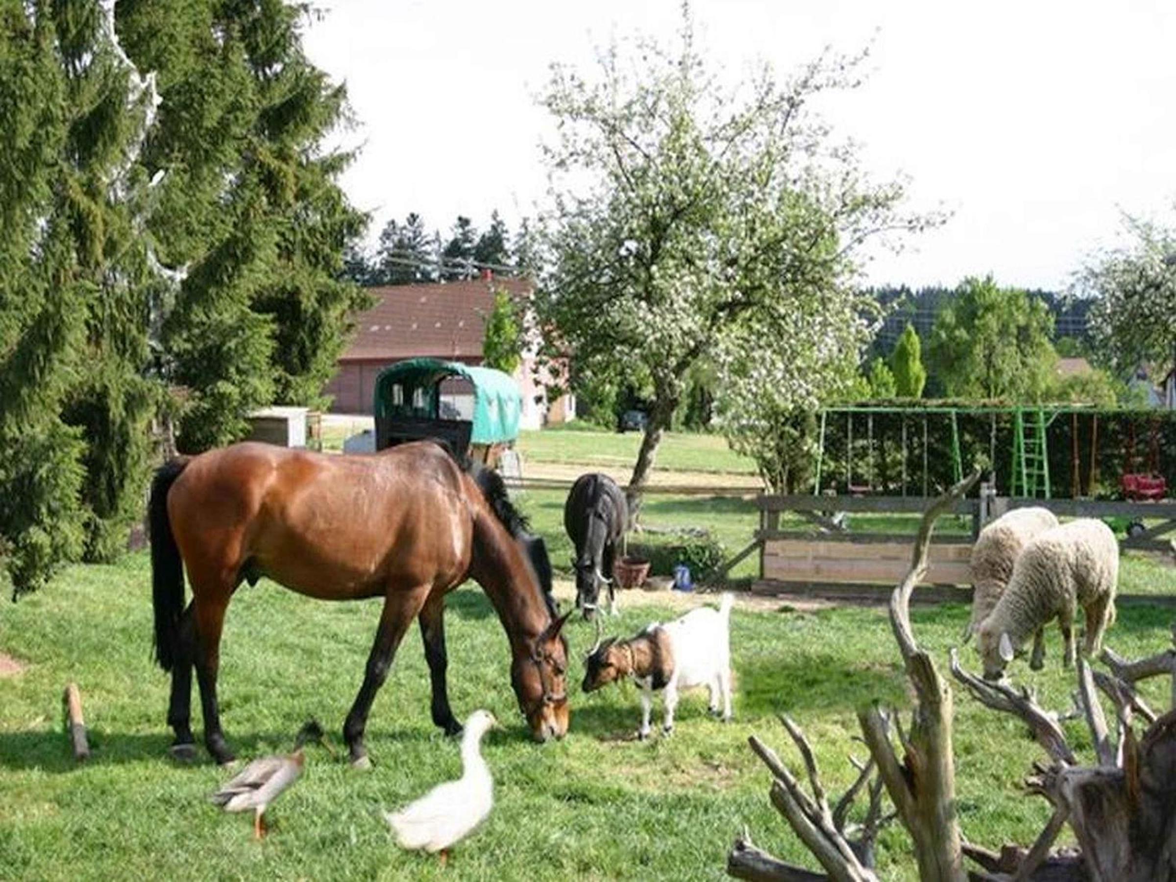 Ferienhof Hirschfeld view 2