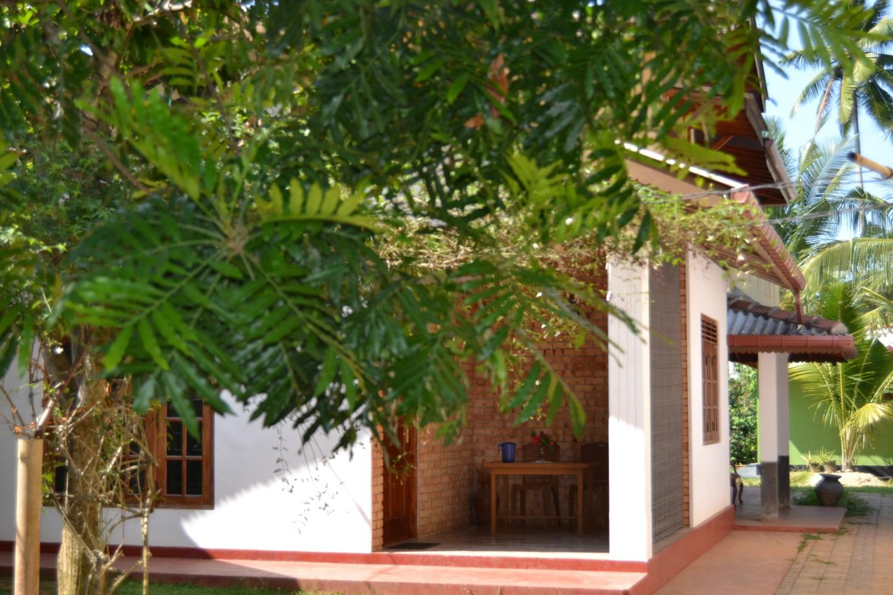 Photo 19