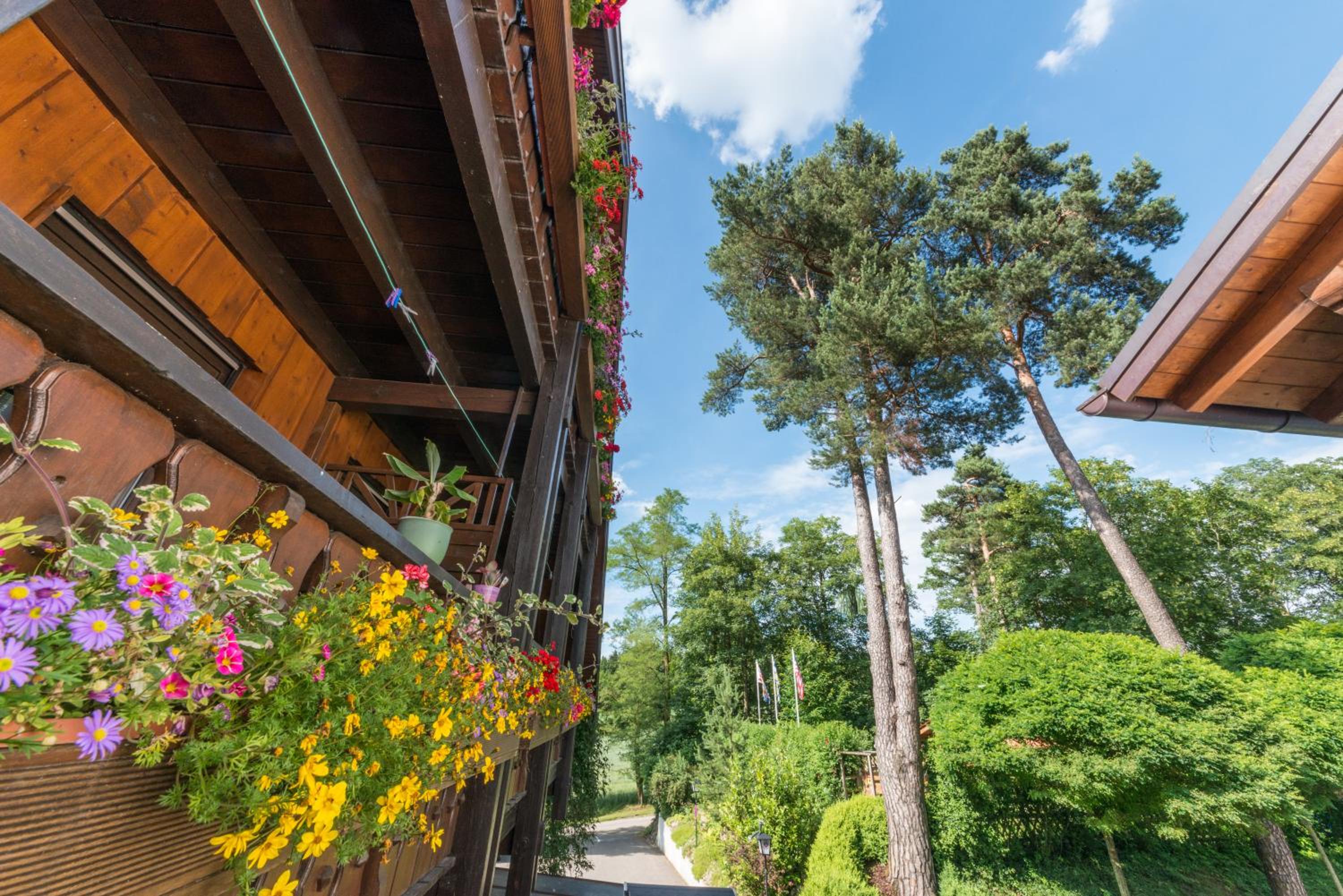 Hotel Waldhof