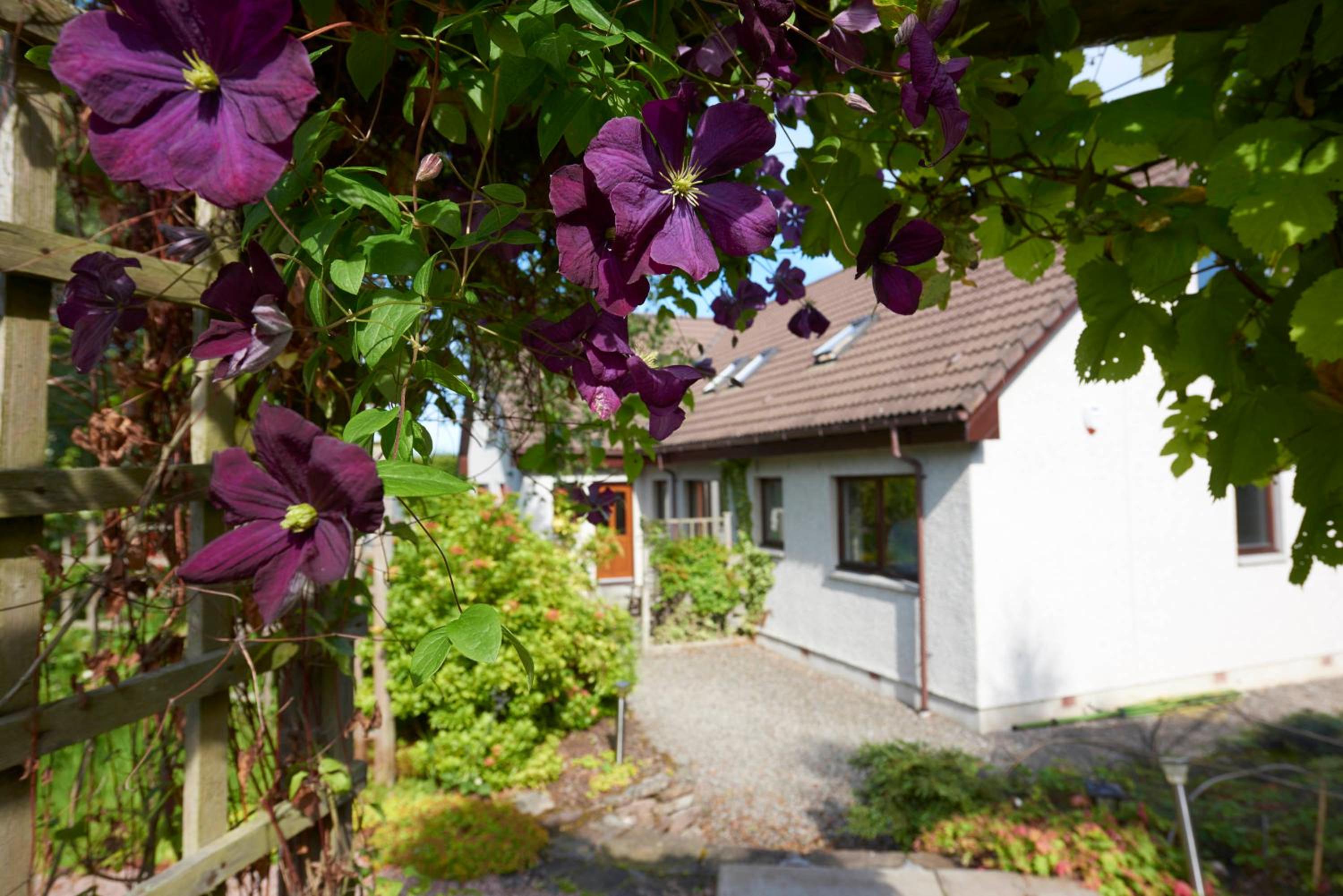 By the Brae view 5