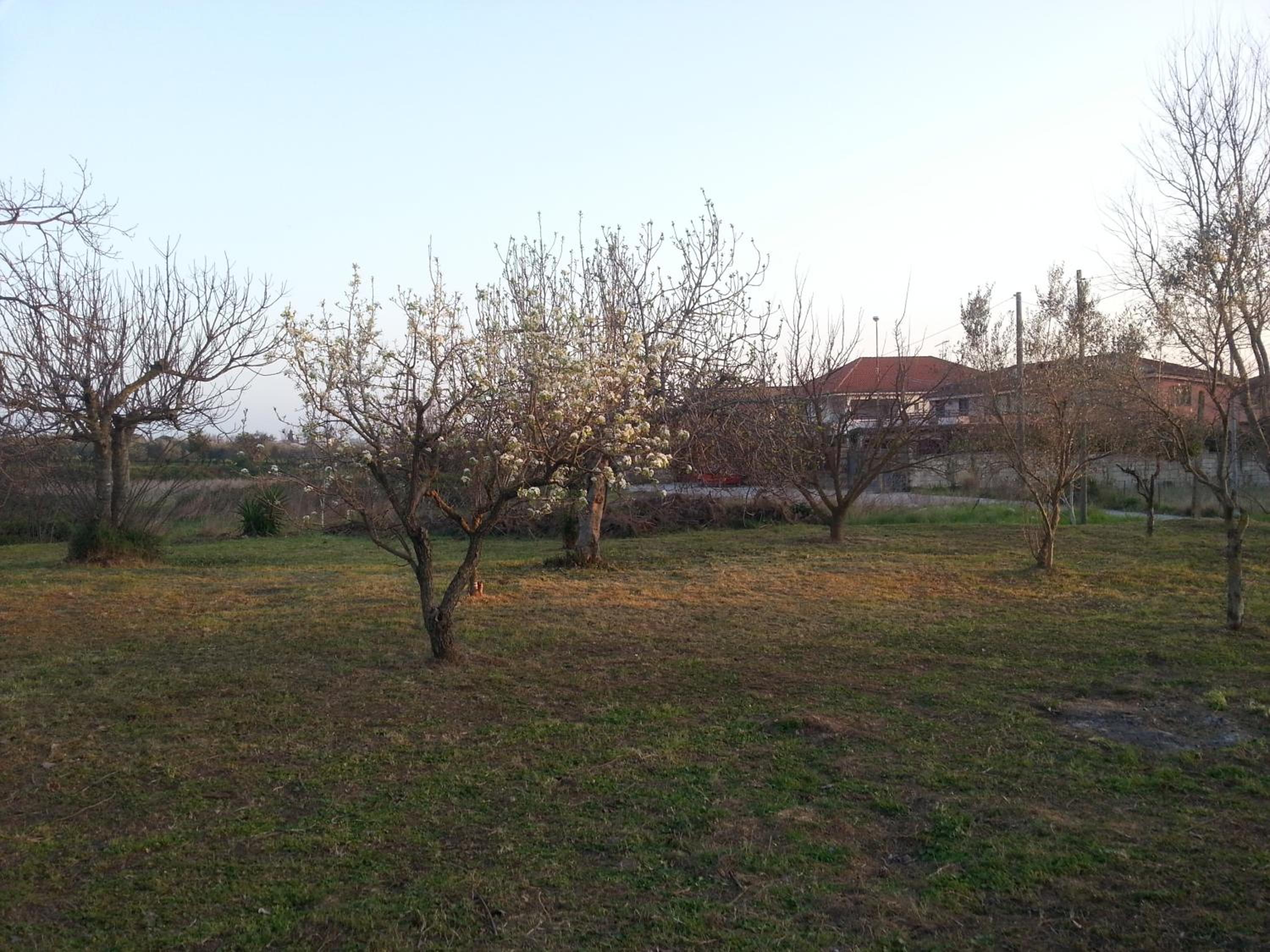 La Masseria