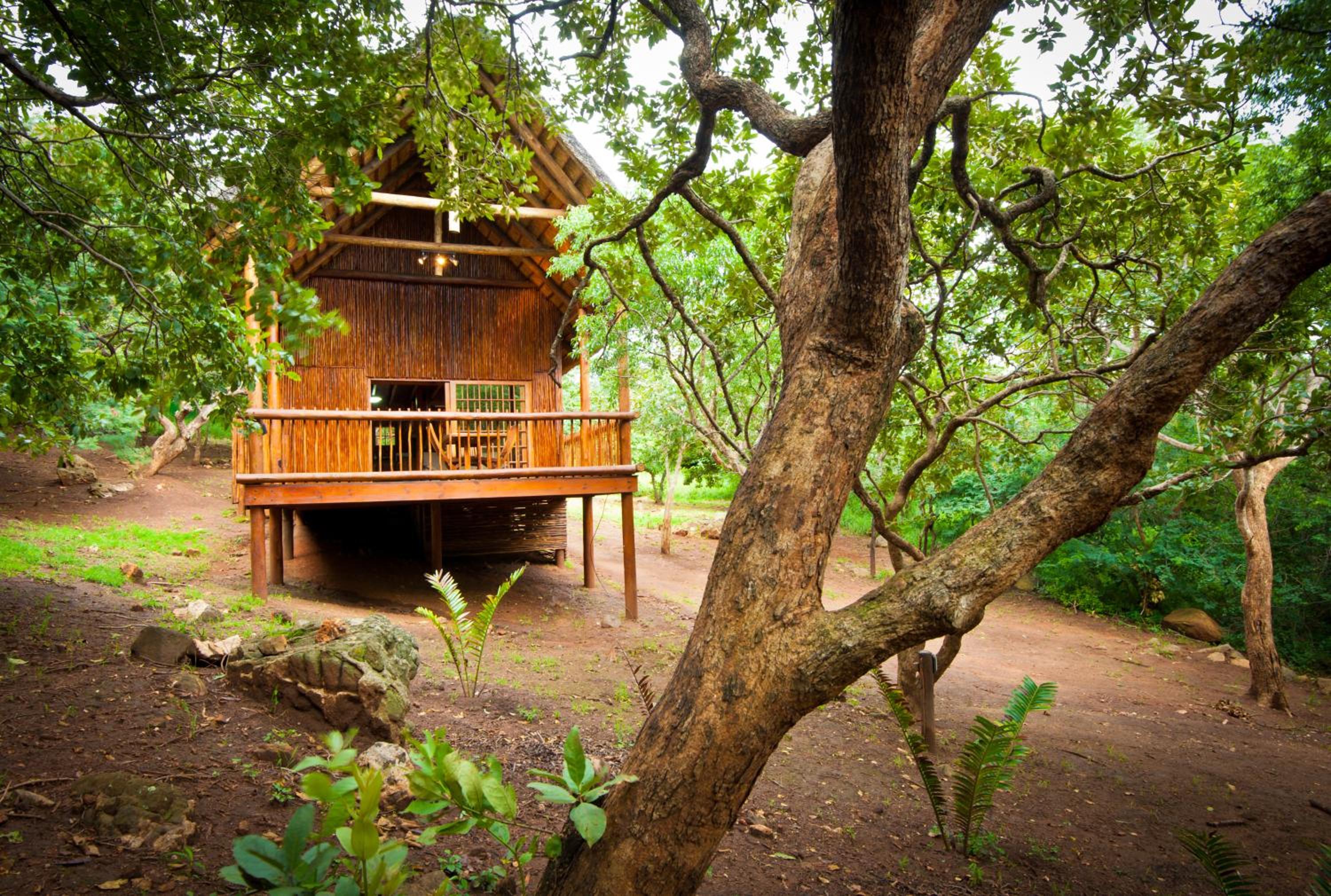 Amafu Forest Lodge
