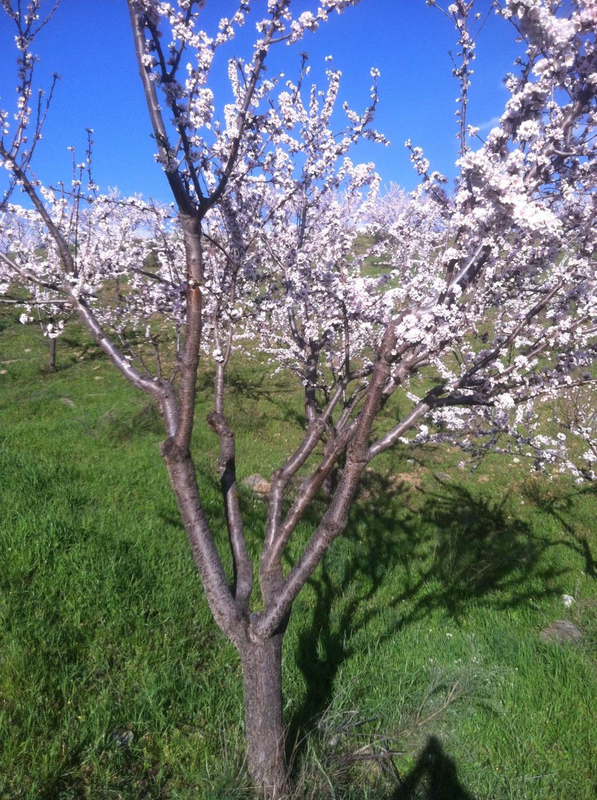 Photo 33