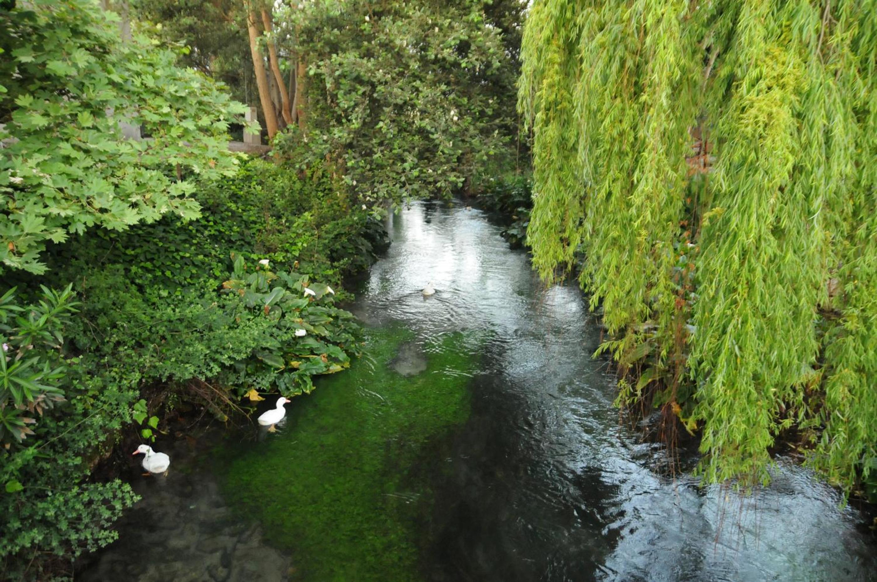 Photo 44