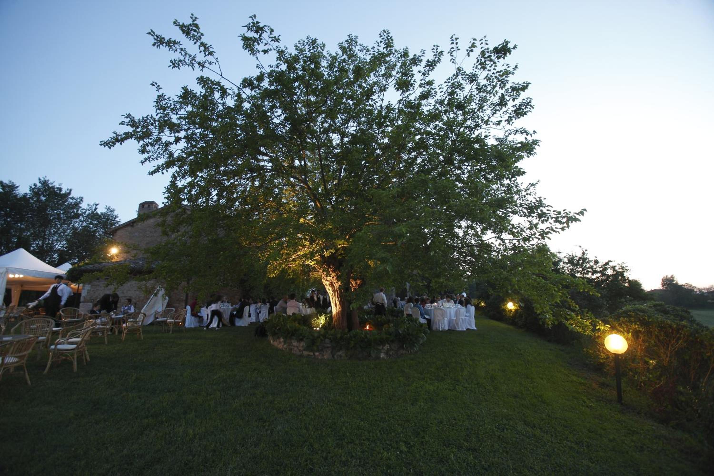 Podere Cartaio Bio Farm, private pool, AirC
