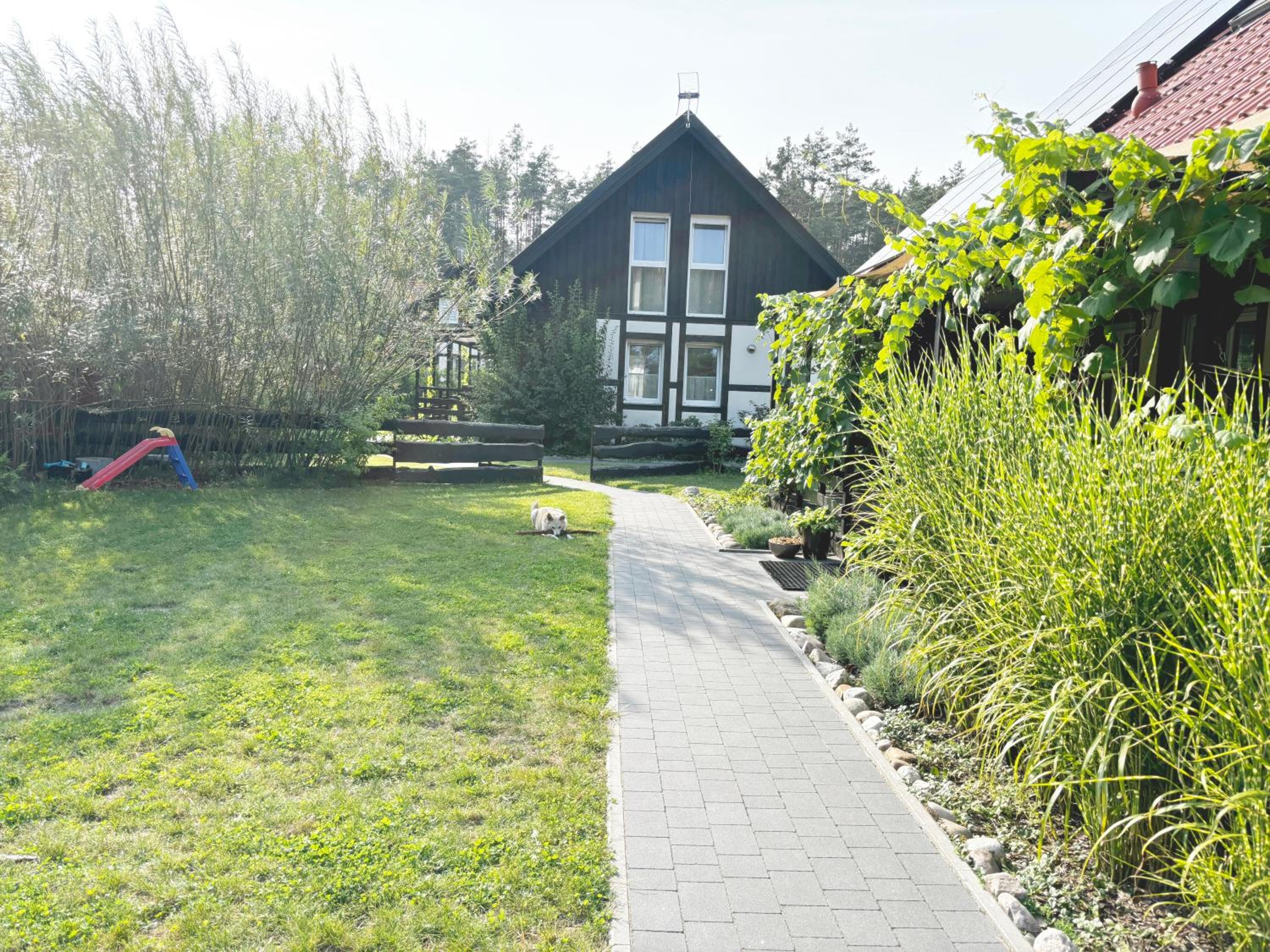 Photo 35