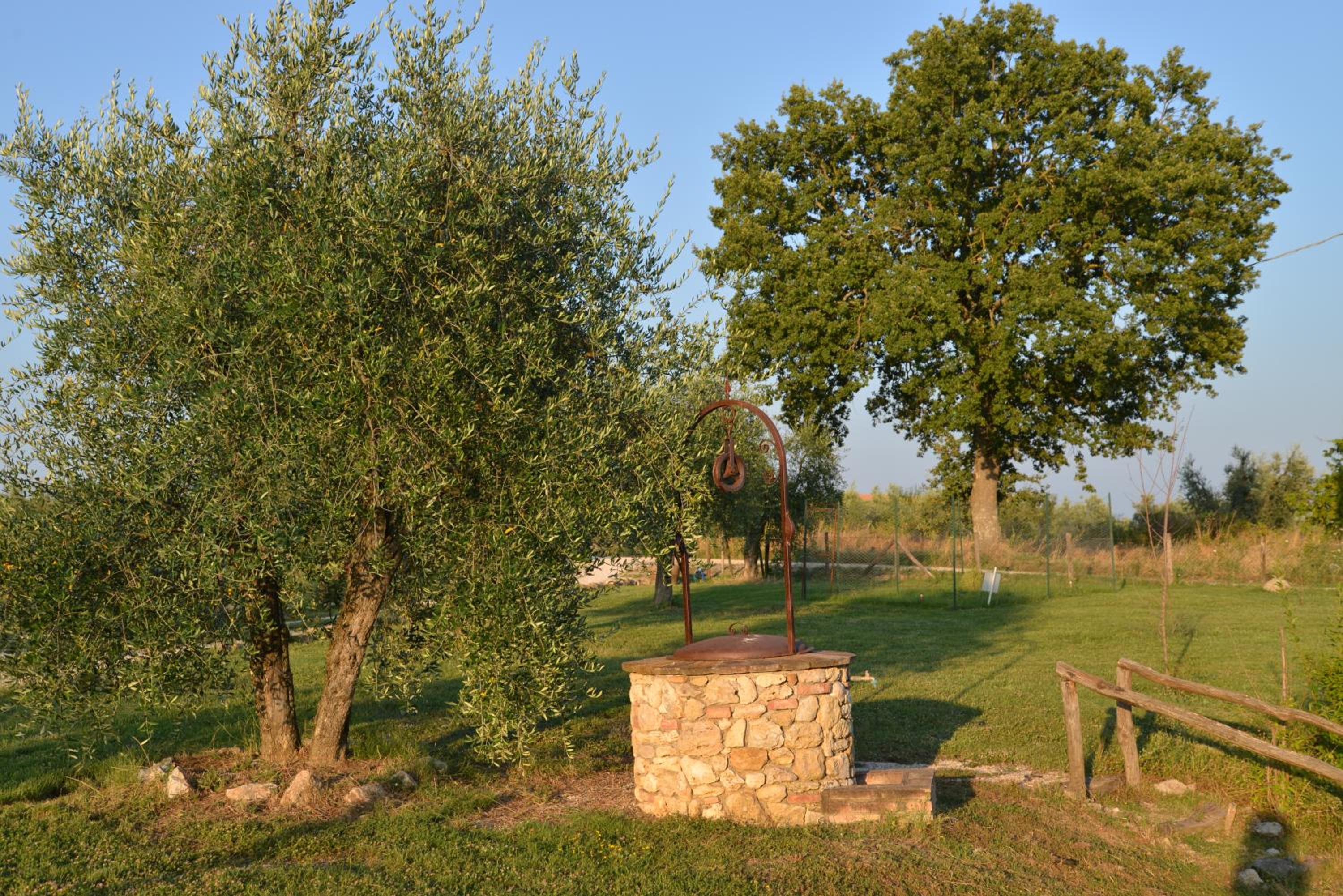 Photo 31
