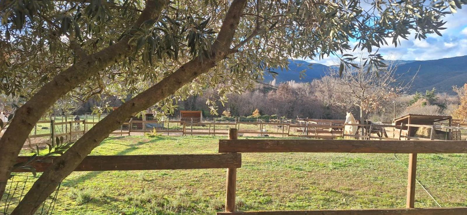 Chambre d'hôtes Le Petit Ranch, photo 15