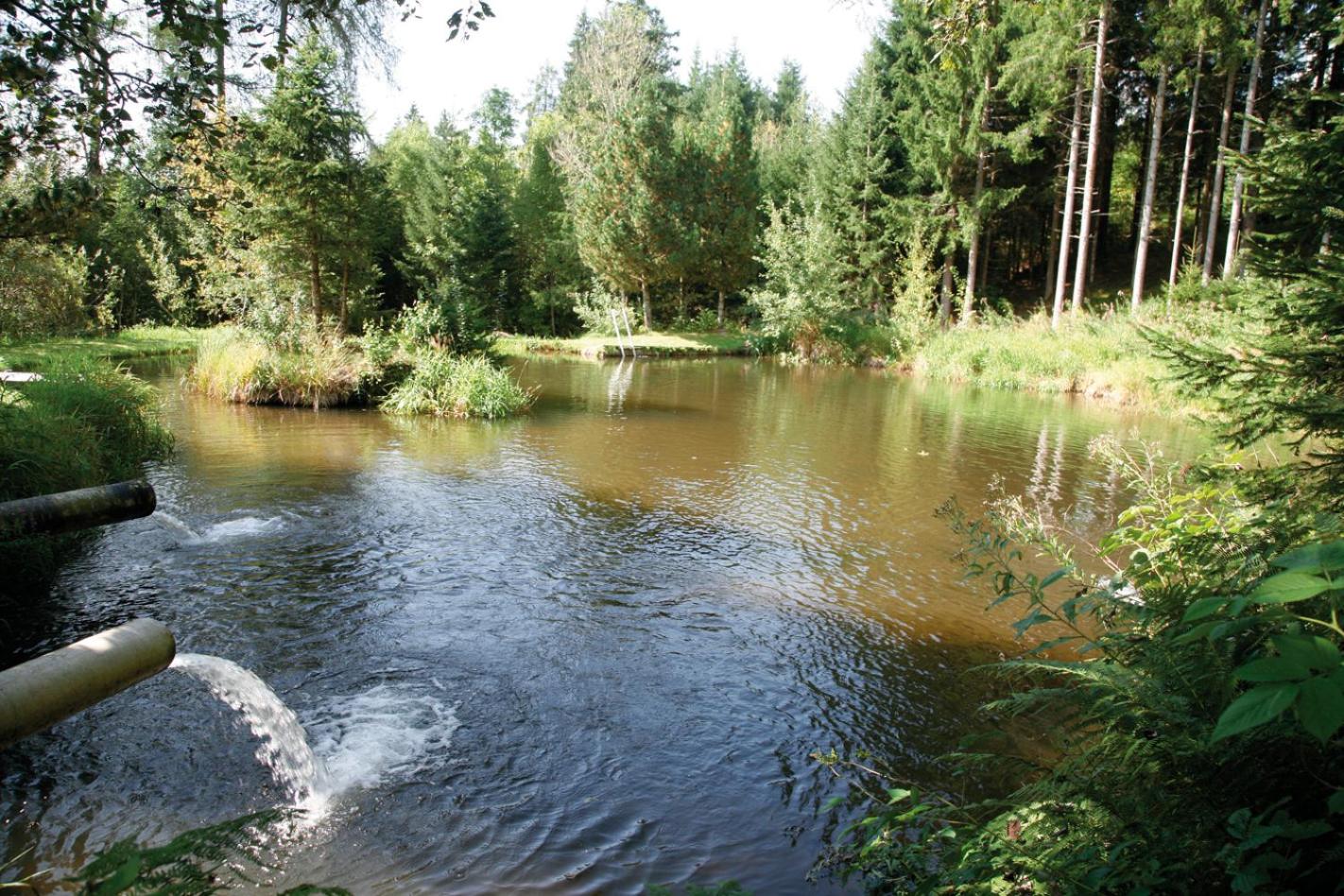 Forellenwirt Bacher