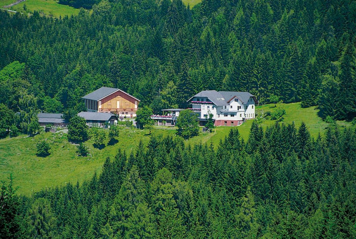 Forellenwirt Bacher