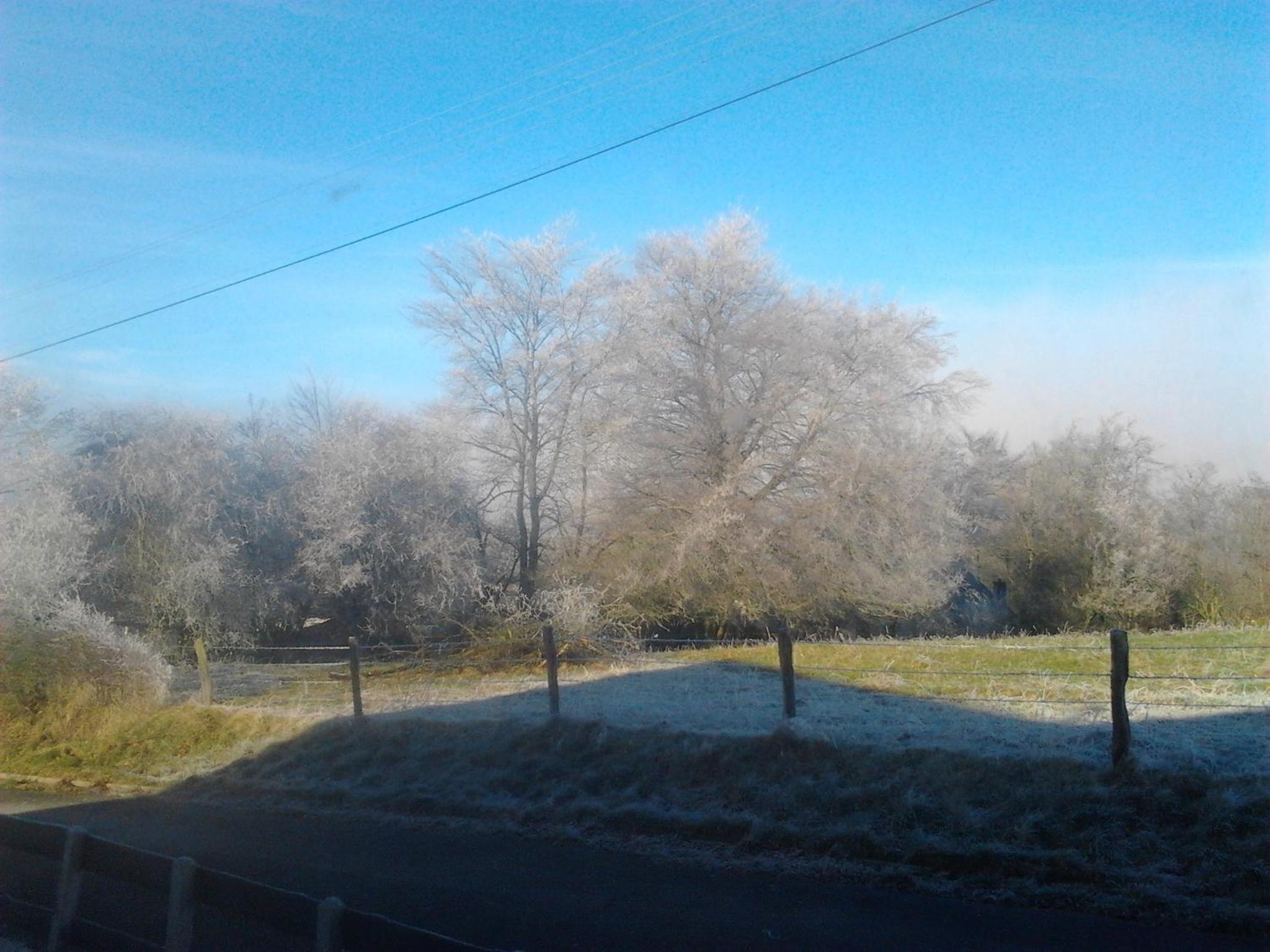 Gîte BELLA